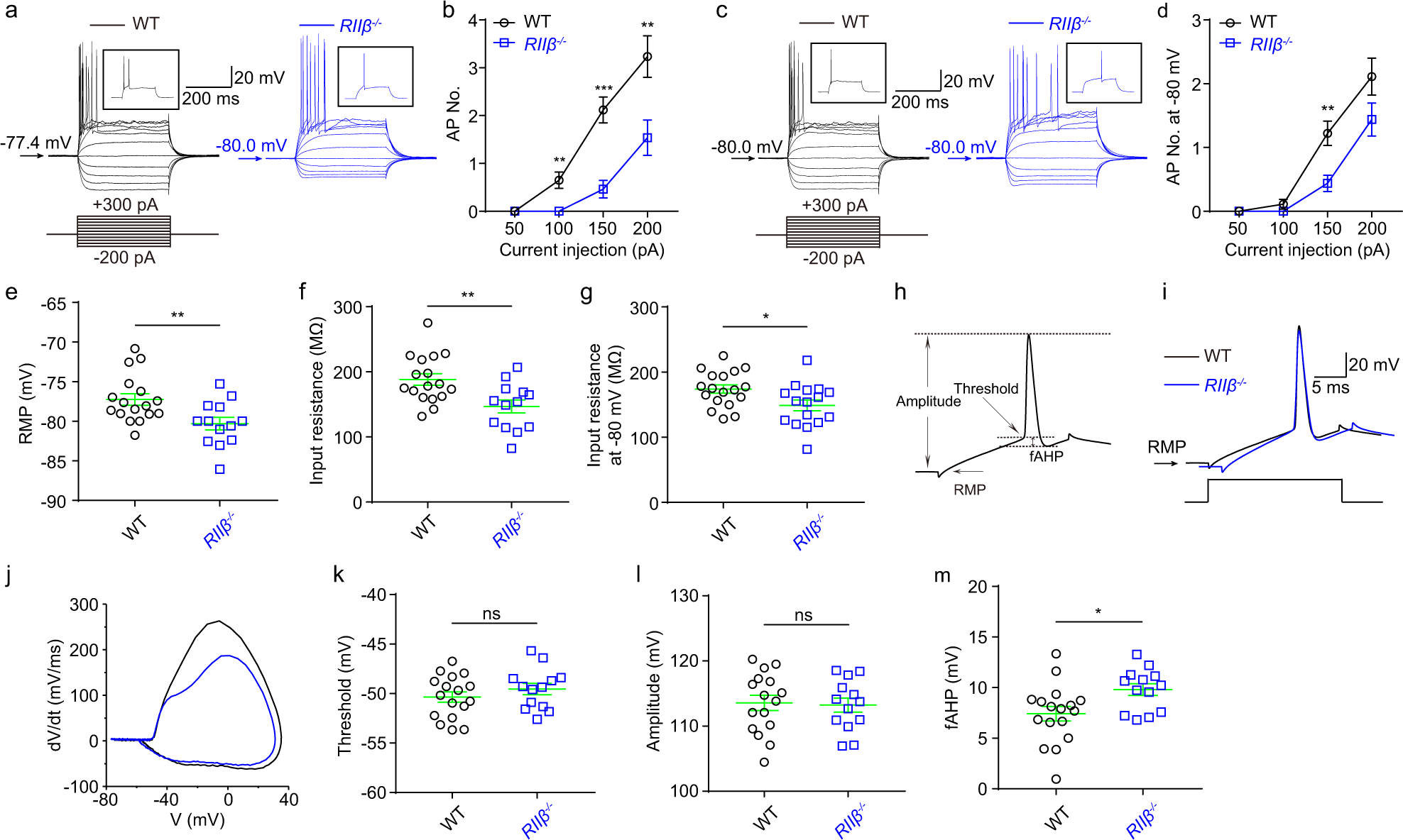 Fig. 6: Decreased neuronal intrinsic excitabilities of DG granule cells at normal RMP in RIIβ−/− mice.