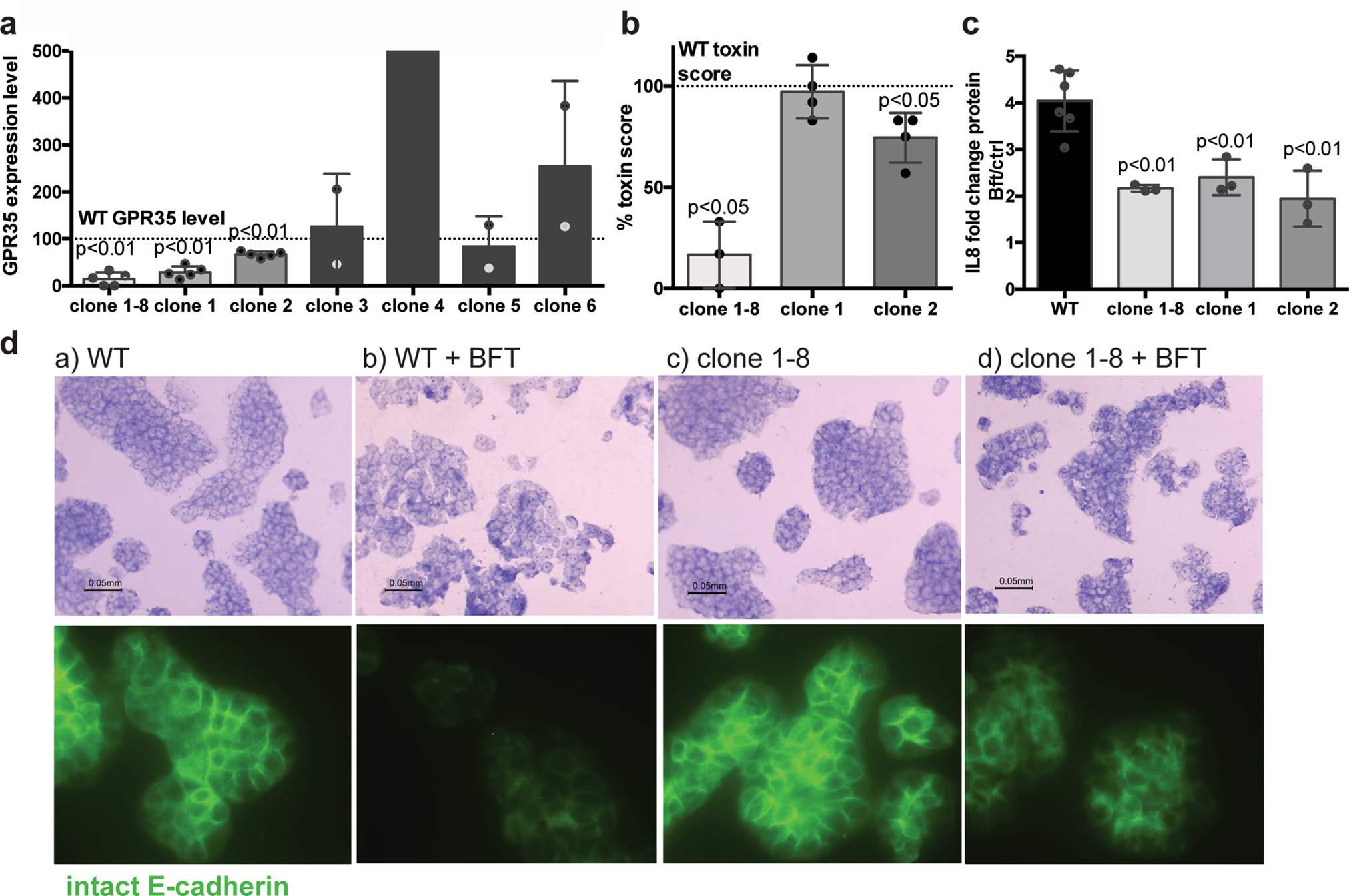G Protein Coupled Receptor 35 Gpr35 Regulates The Colonic Epithelial Cell Response To Enterotoxigenic Bacteroides Fragilis Communications Biology