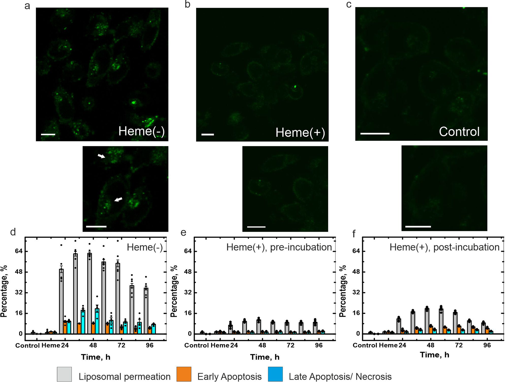 Fig. 2: Heme minimizes the in-cell seeding, synthetic SUV permeabilization and cytotoxicity of various aggregated species of α-Syn.