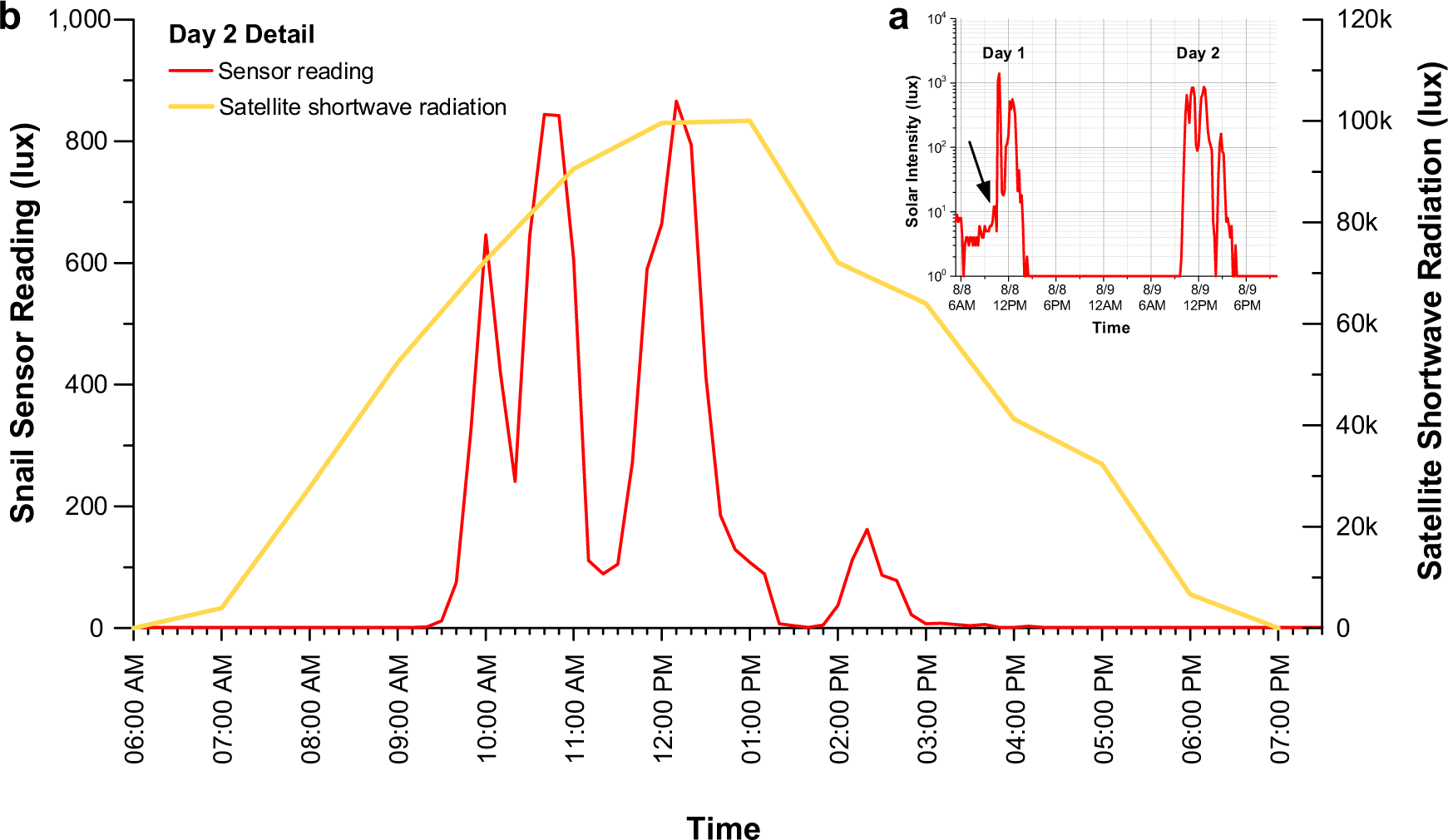 Fig. 2: Solar ecology readings for a single Fautaua-Iti specimen of Euglandina rosea over two days.