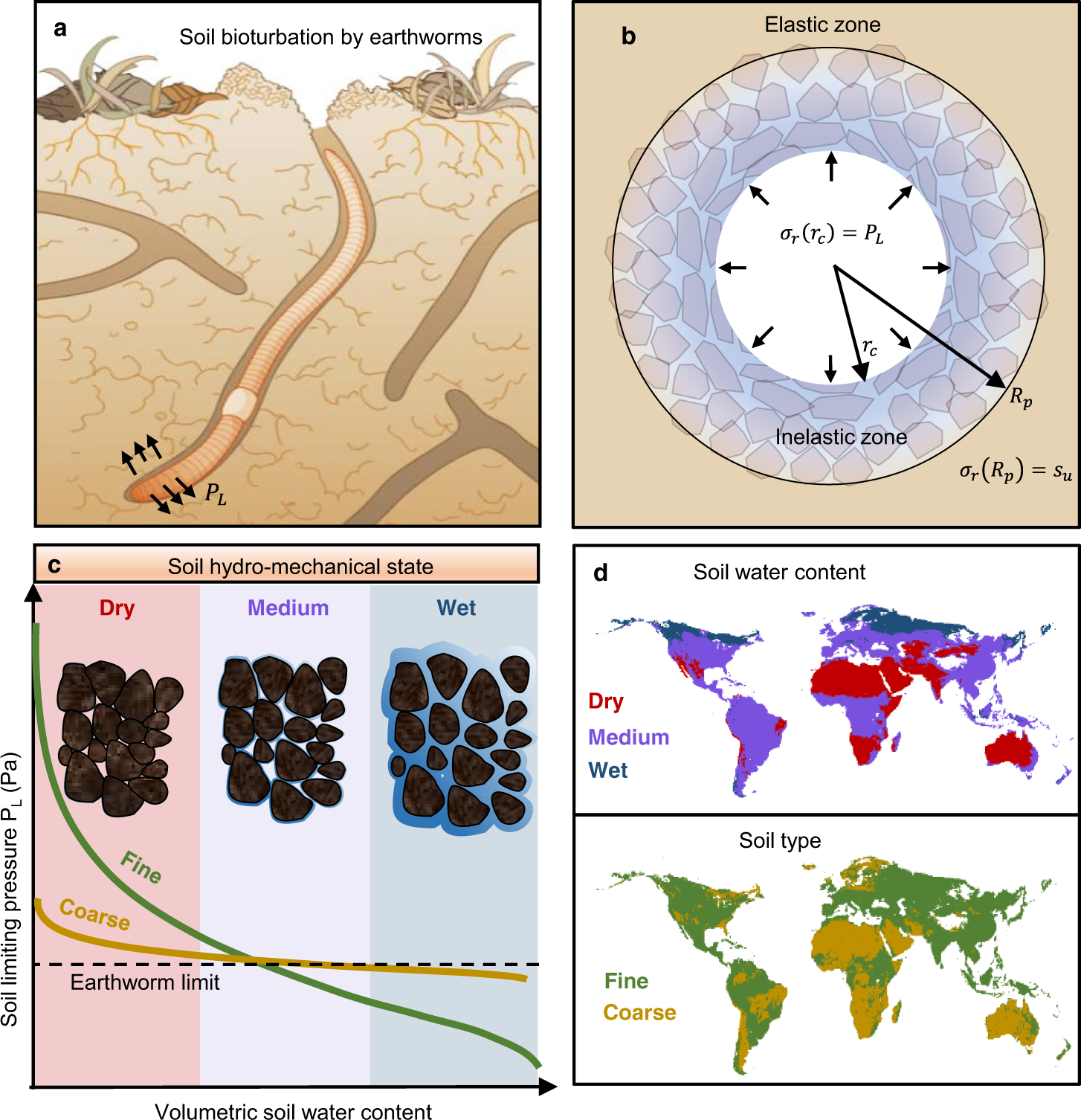 Global earthworm distribution and activity windows based on soil  hydromechanical constraints | Communications Biology
