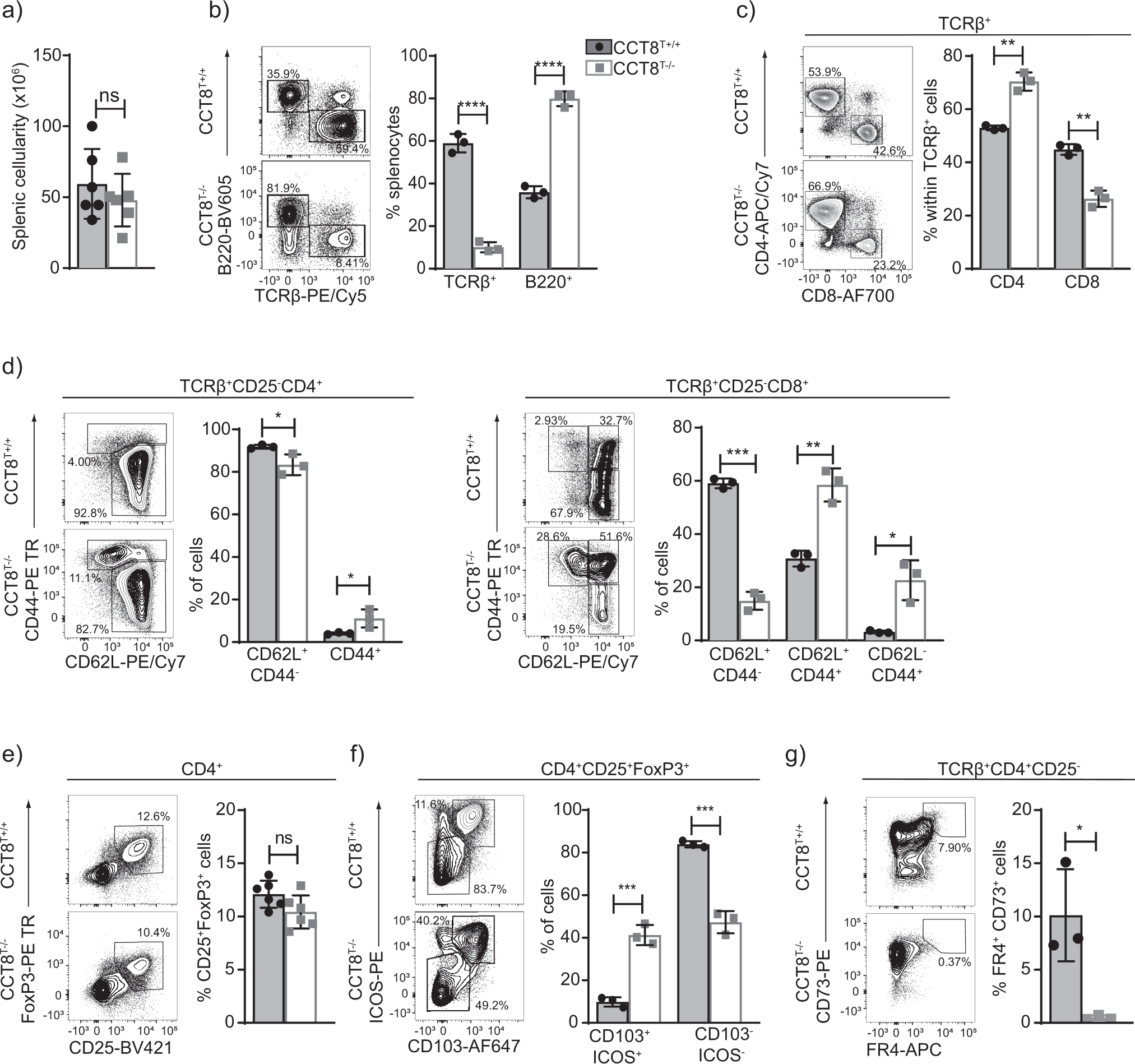 Fig. 2: Peripheral T cell cellularity and phenotype in the absence of CCT8 expression.