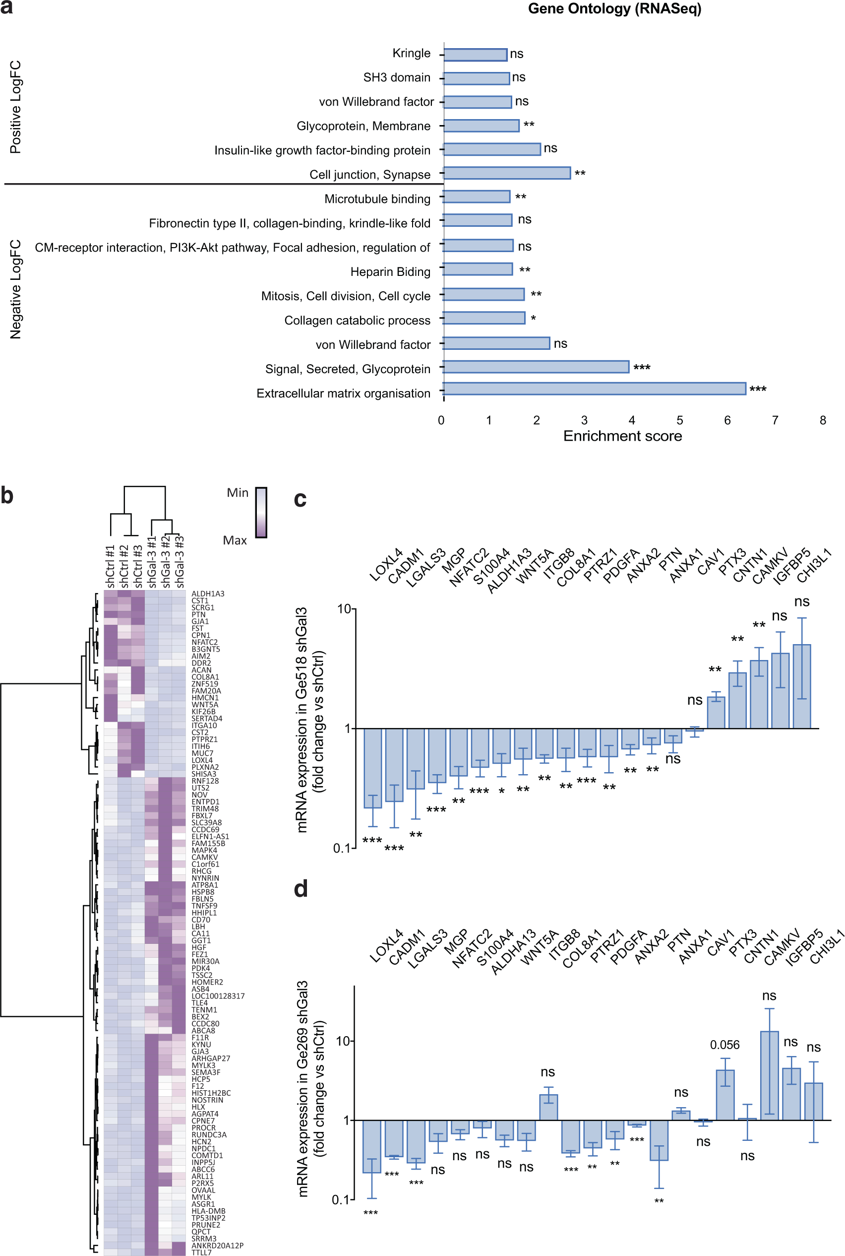 Fig. 4: PTPRZ1, PDGFa, ANXA2, and COL8A1 expression are modulated by Gal-3.