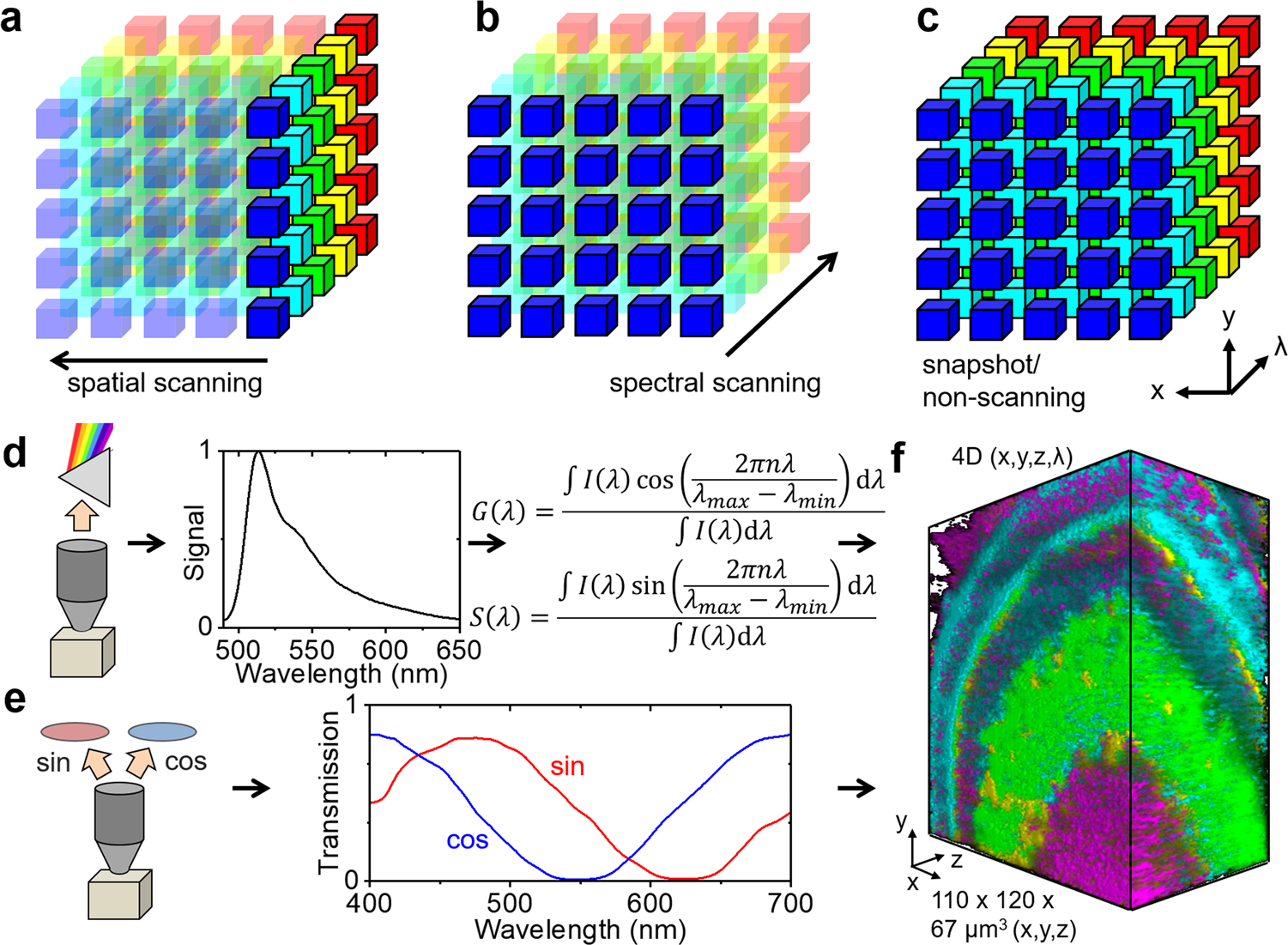 Phasor Based Hyperspectral Snapshot Microscopy Allows Fast Imaging Of Live Three Dimensional Tissues For Biomedical Applications Communications Biology