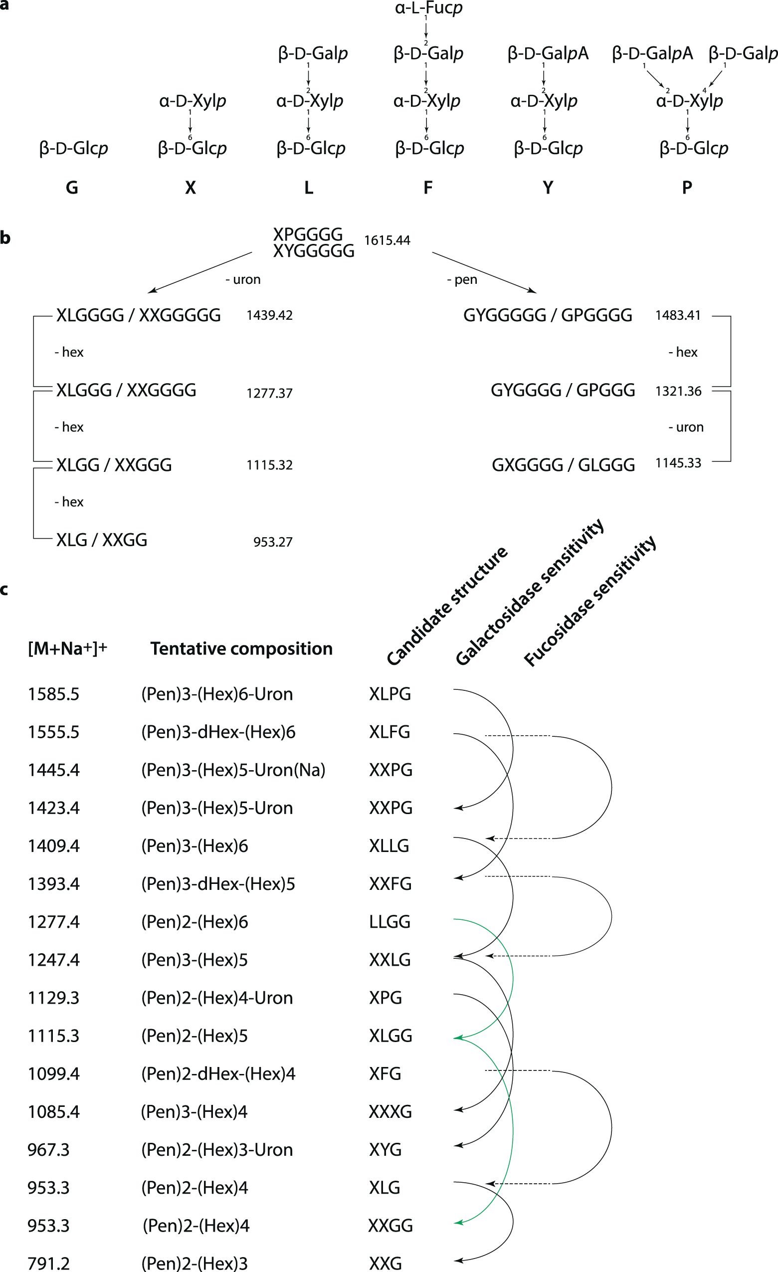 Fig. 7: Tentative assignments of peaks in Coleochaete orbicularis and Cylindrocystis brebissonii and suggested XyG structures found in Mesotaenium caldariorum.