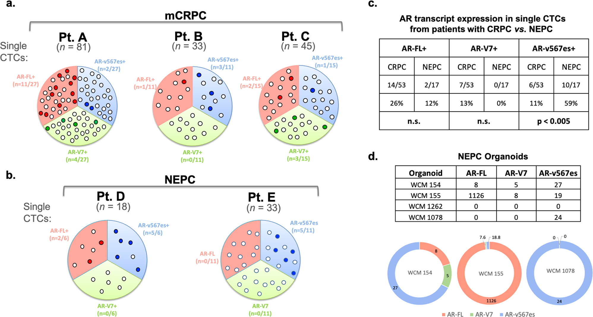 Fig. 4: Expression of AR-FL, AR-V7, and AR-v567es in single CTCs and organoids from patients with mCRPC and NEPC.