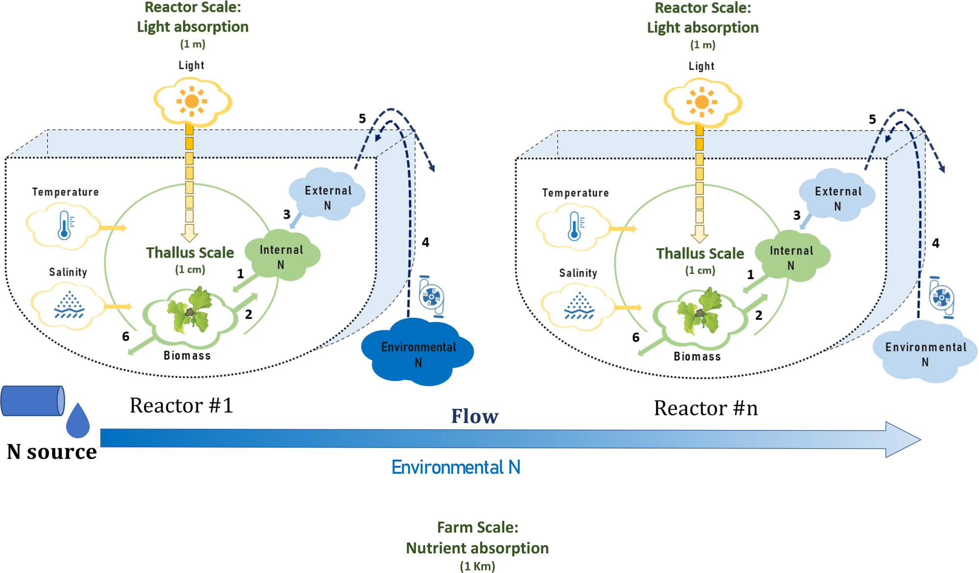 Environmental life cycle assessment of cascade valorisation strategies of  South African macroalga Ecklonia maxima using green extraction technologies  - ScienceDirect