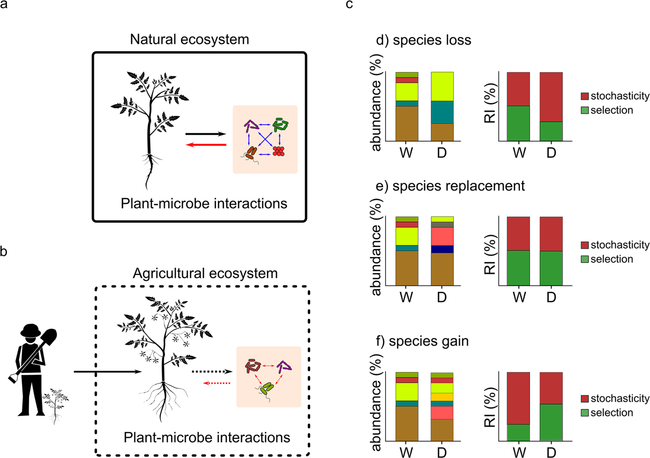 The effect of plant domestication on host control of the microbiota | Communications Biology The effect of plant domestication on host control of the microbiota | Communications Biology