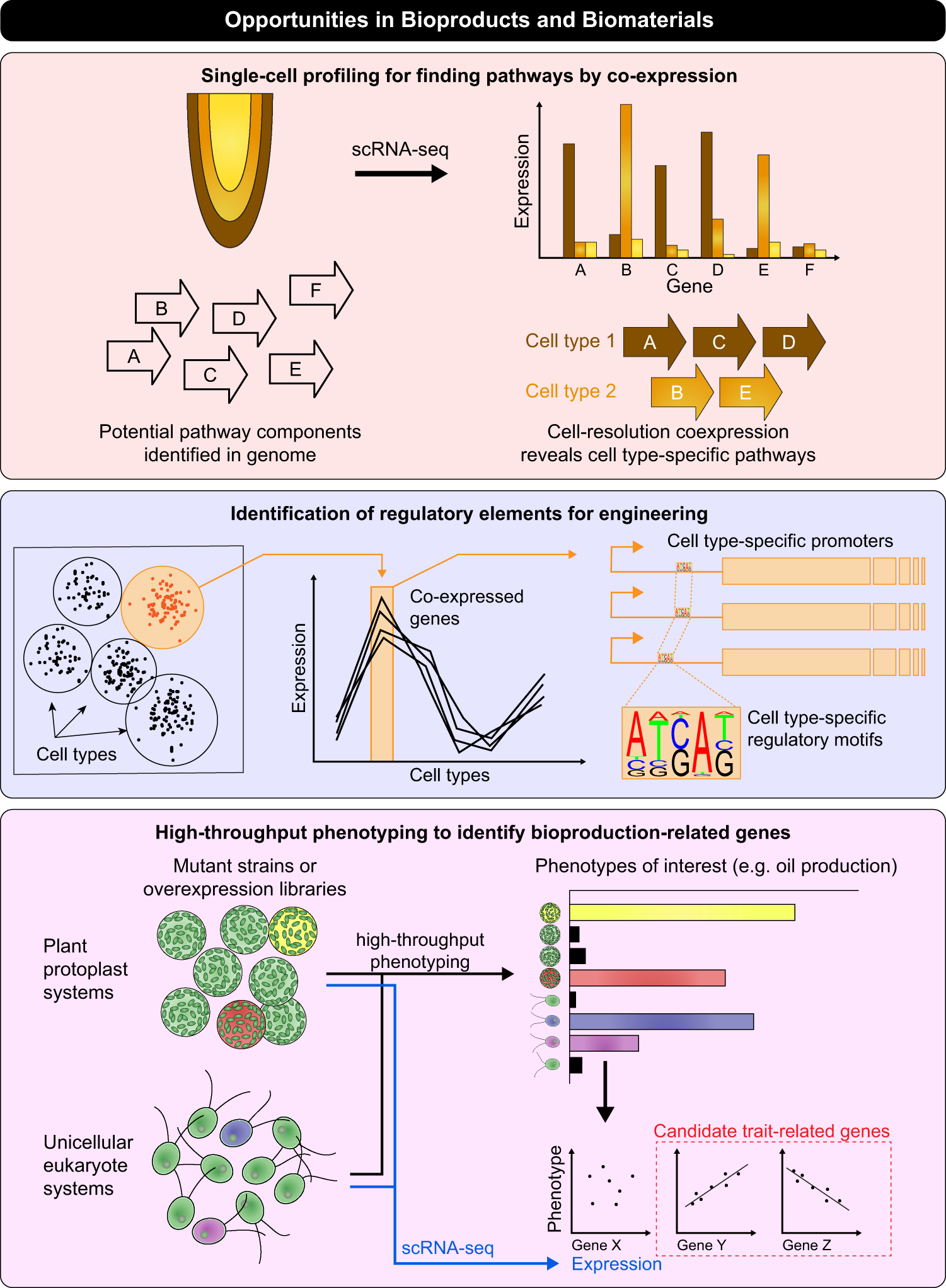Fig. 4: Using single-cell methods in bioproducts and biomaterials applications.