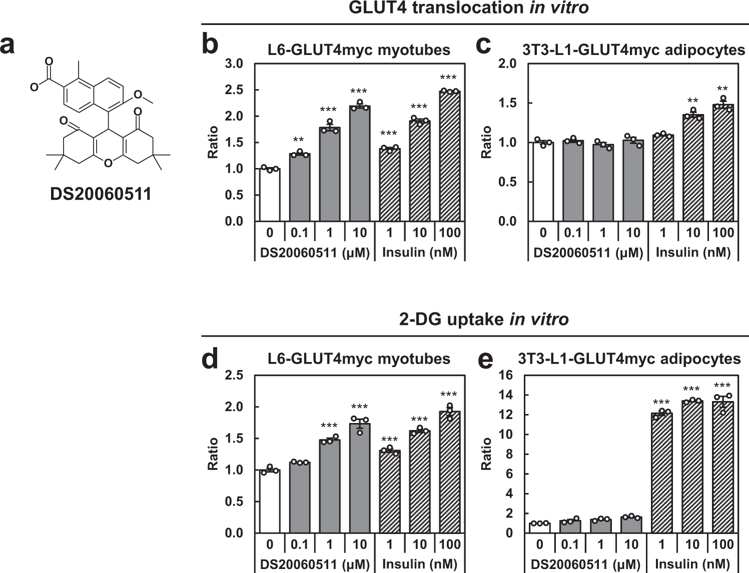 A Xanthene Derivative Ds Attenuates Glucose Intolerance By Inducing Skeletal Muscle Specific Glut4 Translocation In Mice Communications Biology