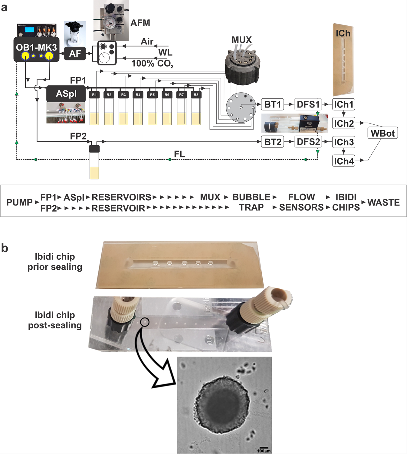 Air bubbles and microfluidics, how to deal with it - Elveflow