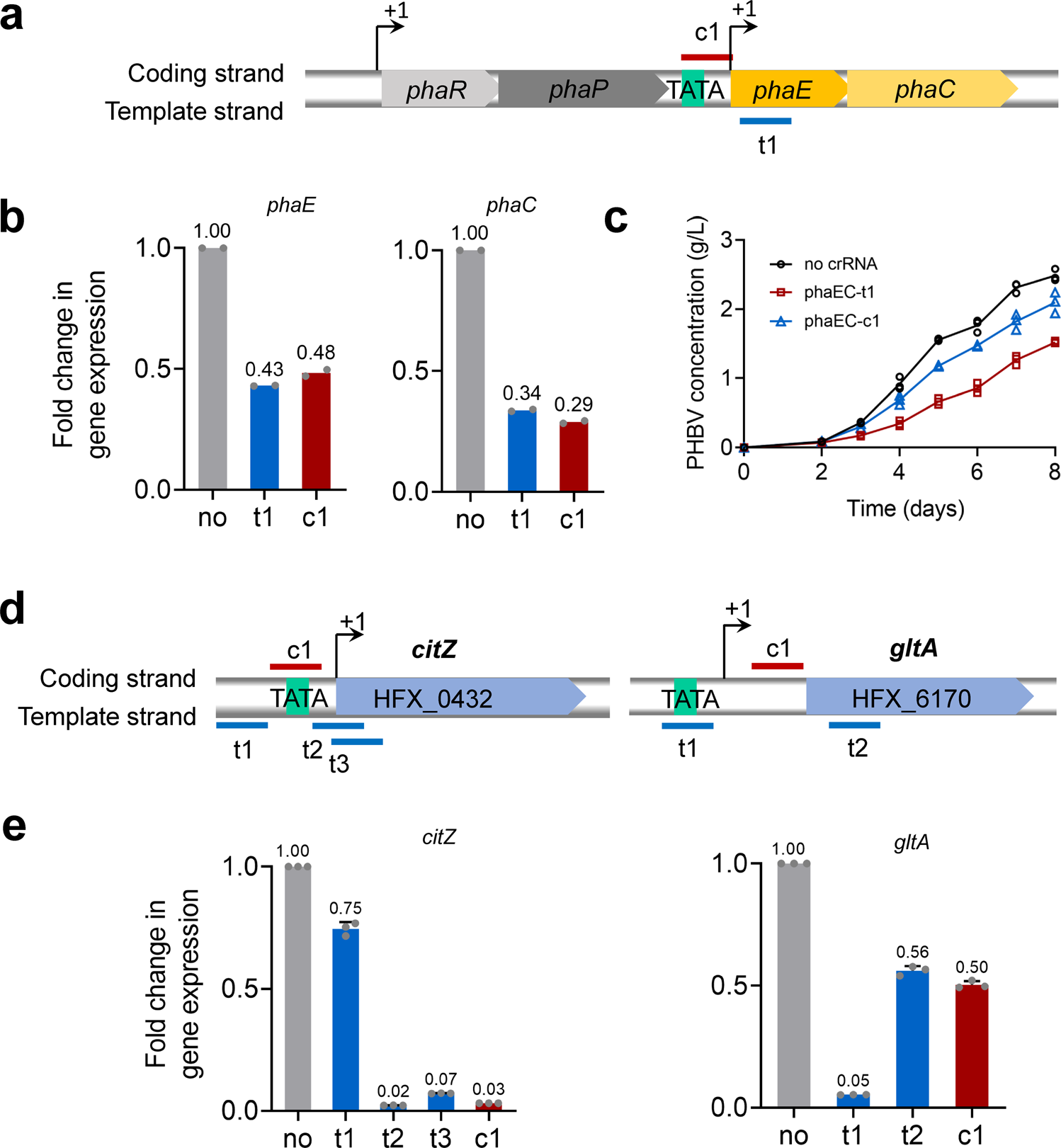 Fig. 4: Repression of phaEC and citrate synthase genes using CRISPRi.