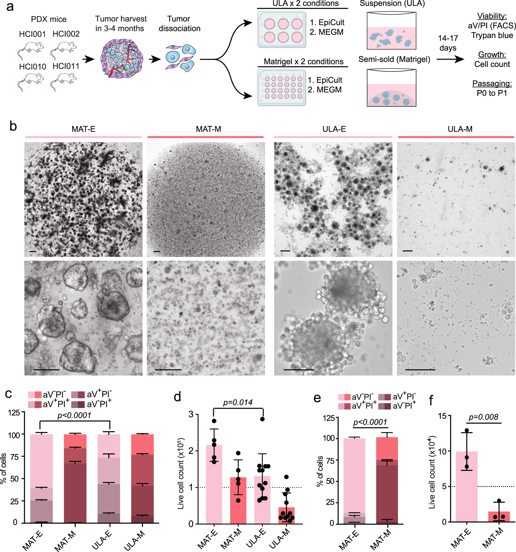 Patient-derived xenograft culture-transplant system for 