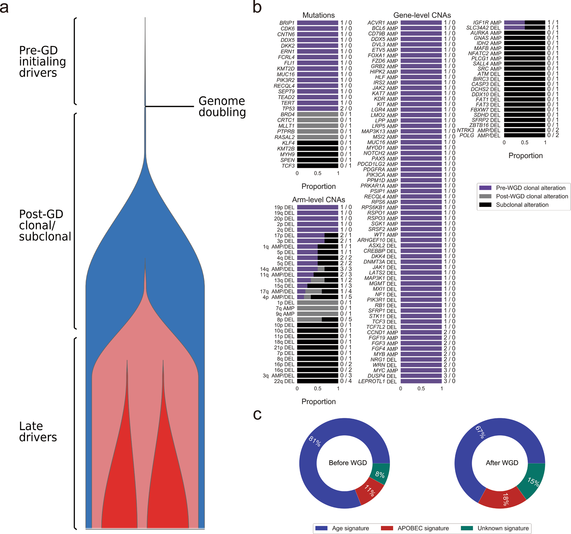 Fig. 3: Timing of somatic events in triple-negative breast cancer (TNBC; N = 7).
