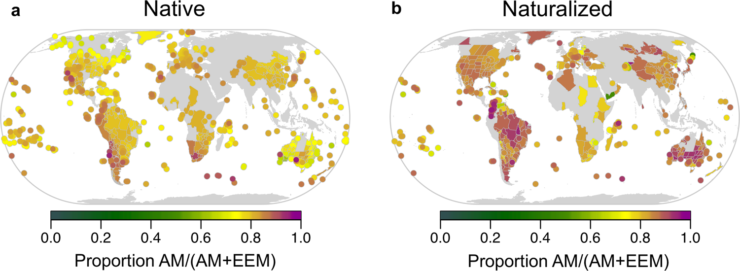 Mycorrhizas across scales: a journey between genomics, global