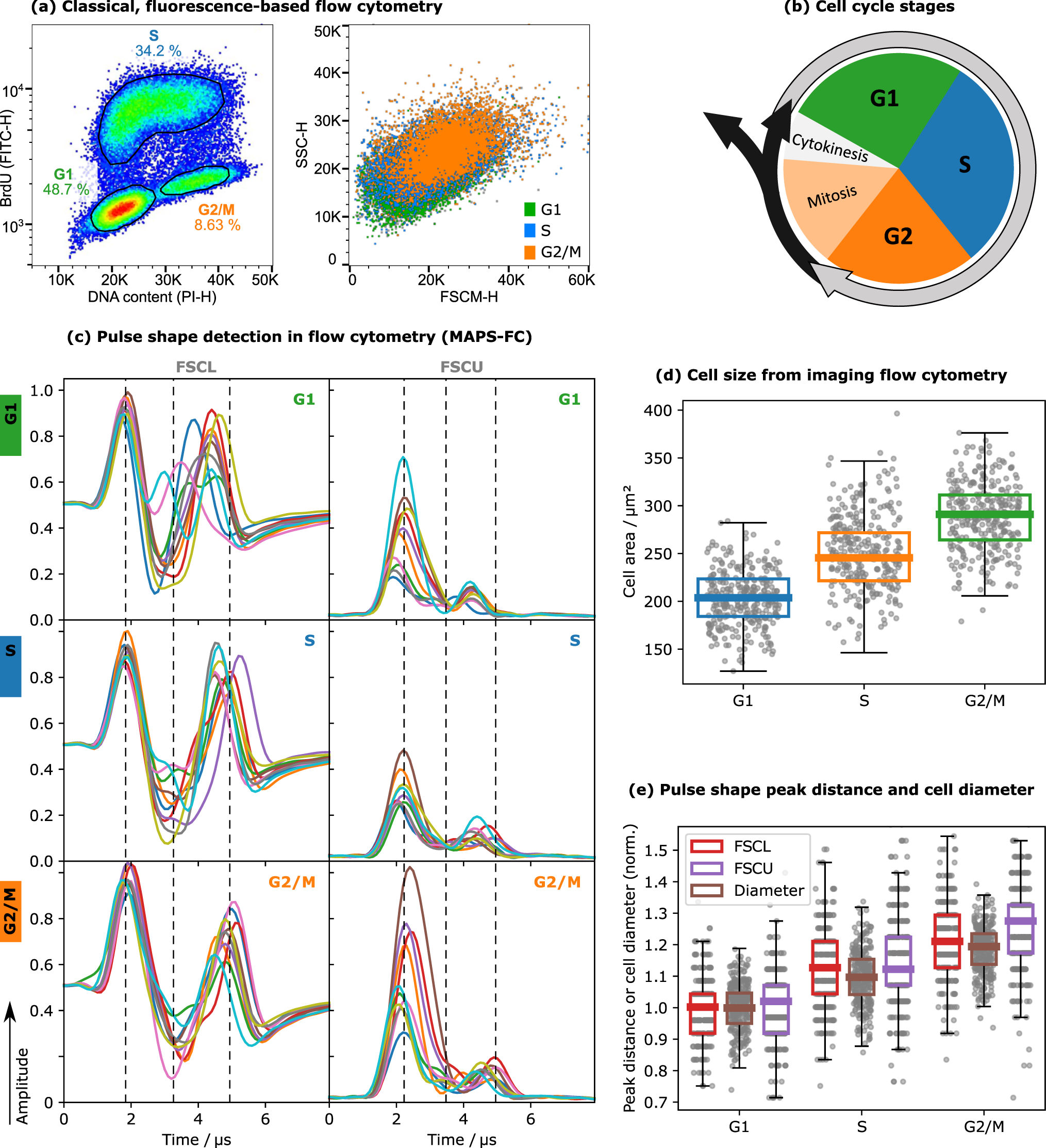 Multi Angle Pulse Shape Detection Of Scattered Light In Flow Cytometry For Label Free Cell Cycle Classification Communications Biology