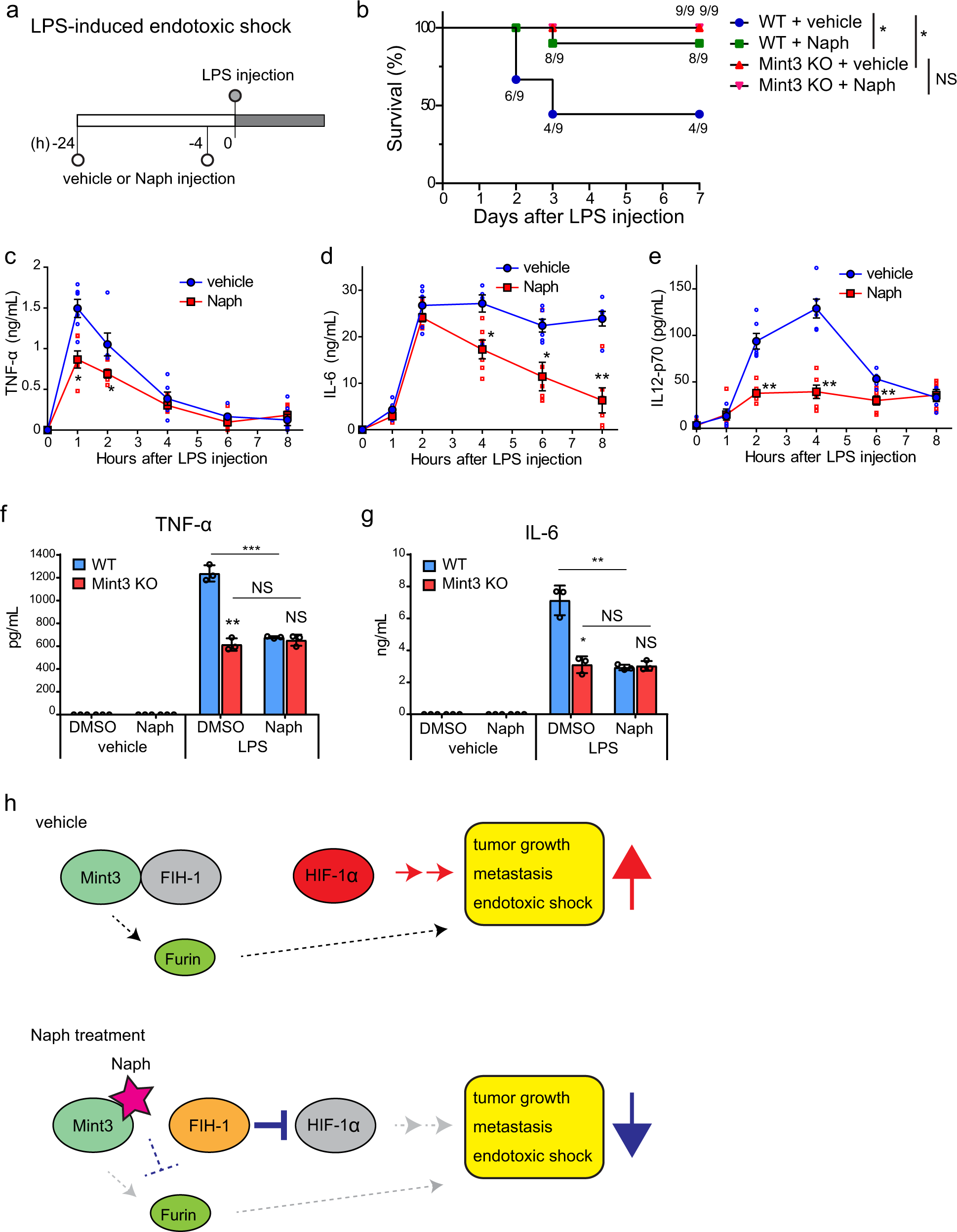 Fig. 7: Naphthofluorescein attenuates LPS-induced endotoxic shock.