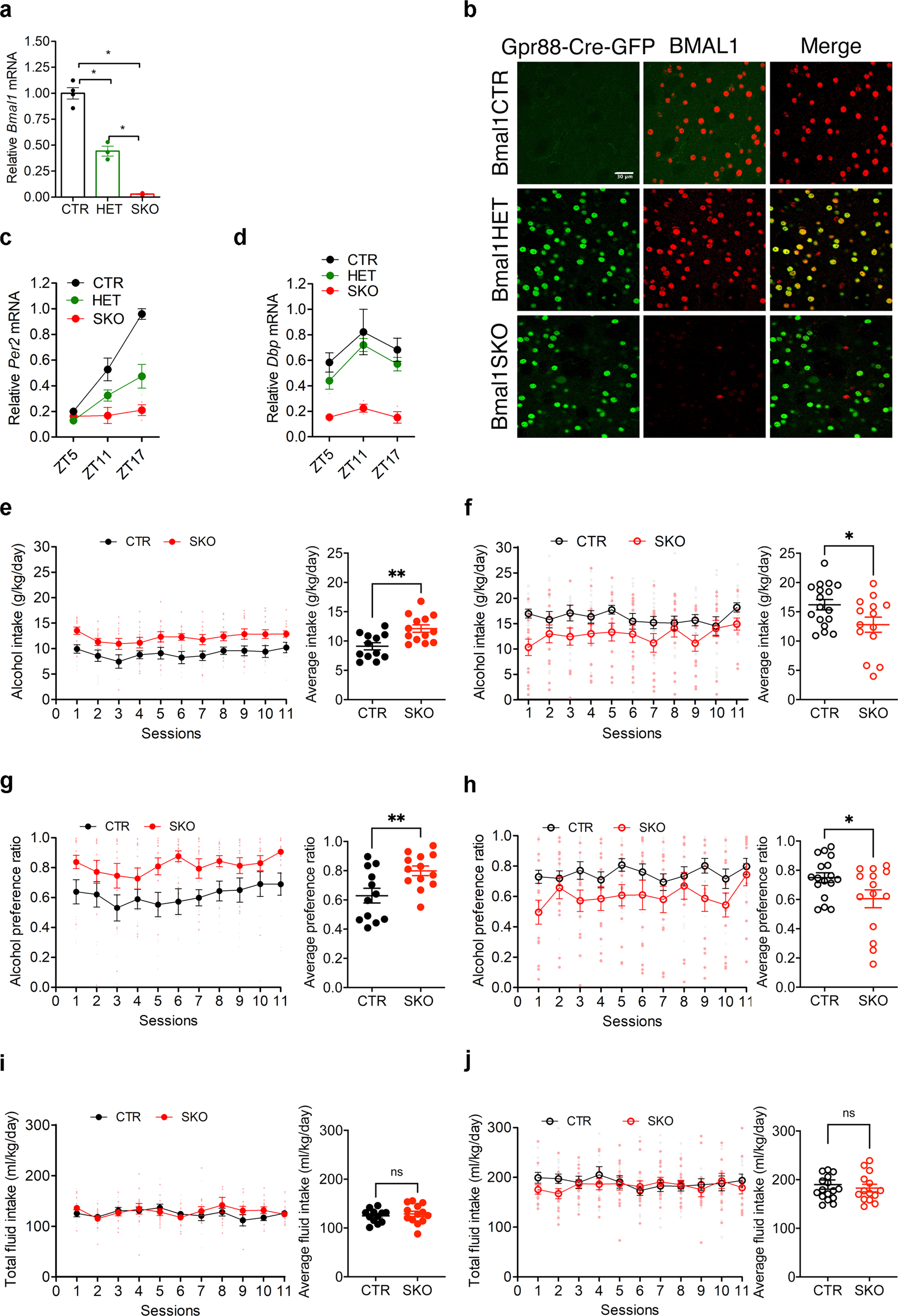 Bmal1 in the striatum influences alcohol intake in a sexually dimorphic  manner | Communications Biology