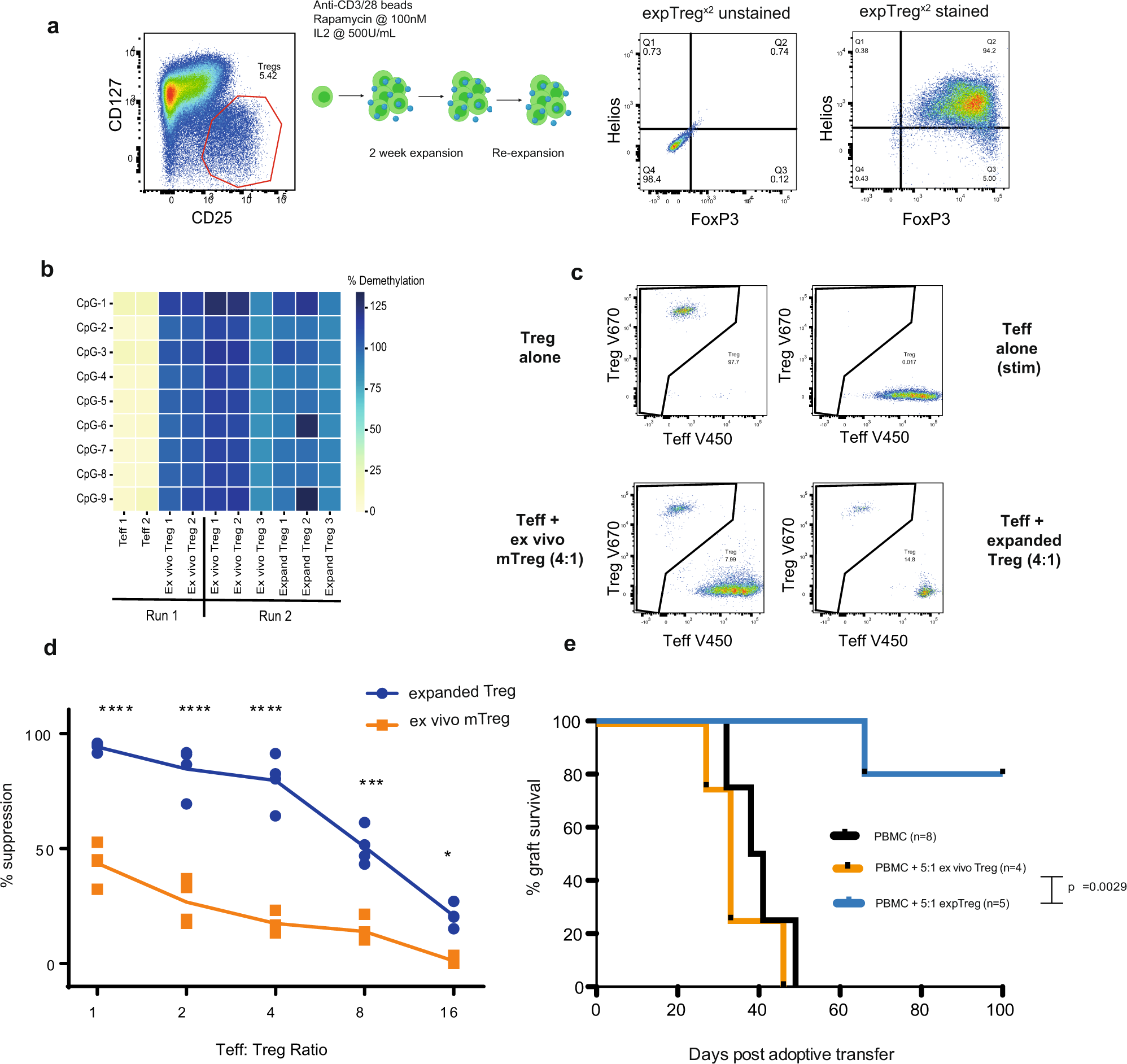 Therapeutically expanded human regulatory T-cells are super-suppressive due  to HIF1A induced expression of CD73 | Communications Biology