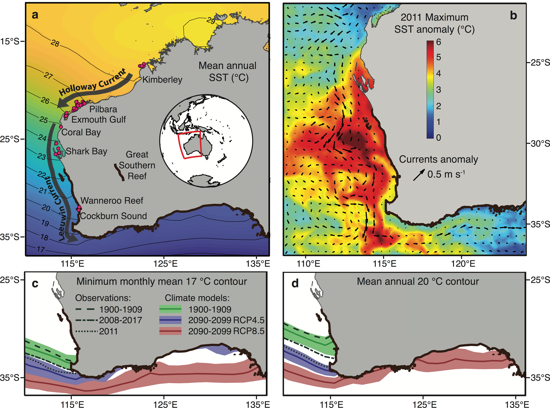 Climate Assisted Persistence Of Tropical Fish Vagrants In Temperate Marine Ecosystems Communications Biology