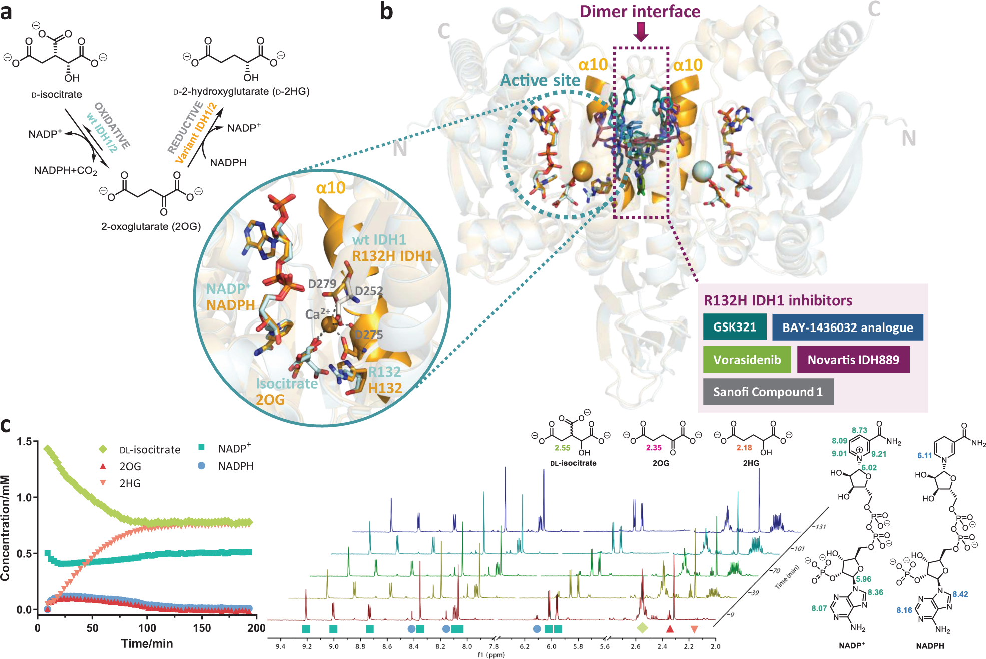 Roles of metal ions in the selective inhibition of oncogenic