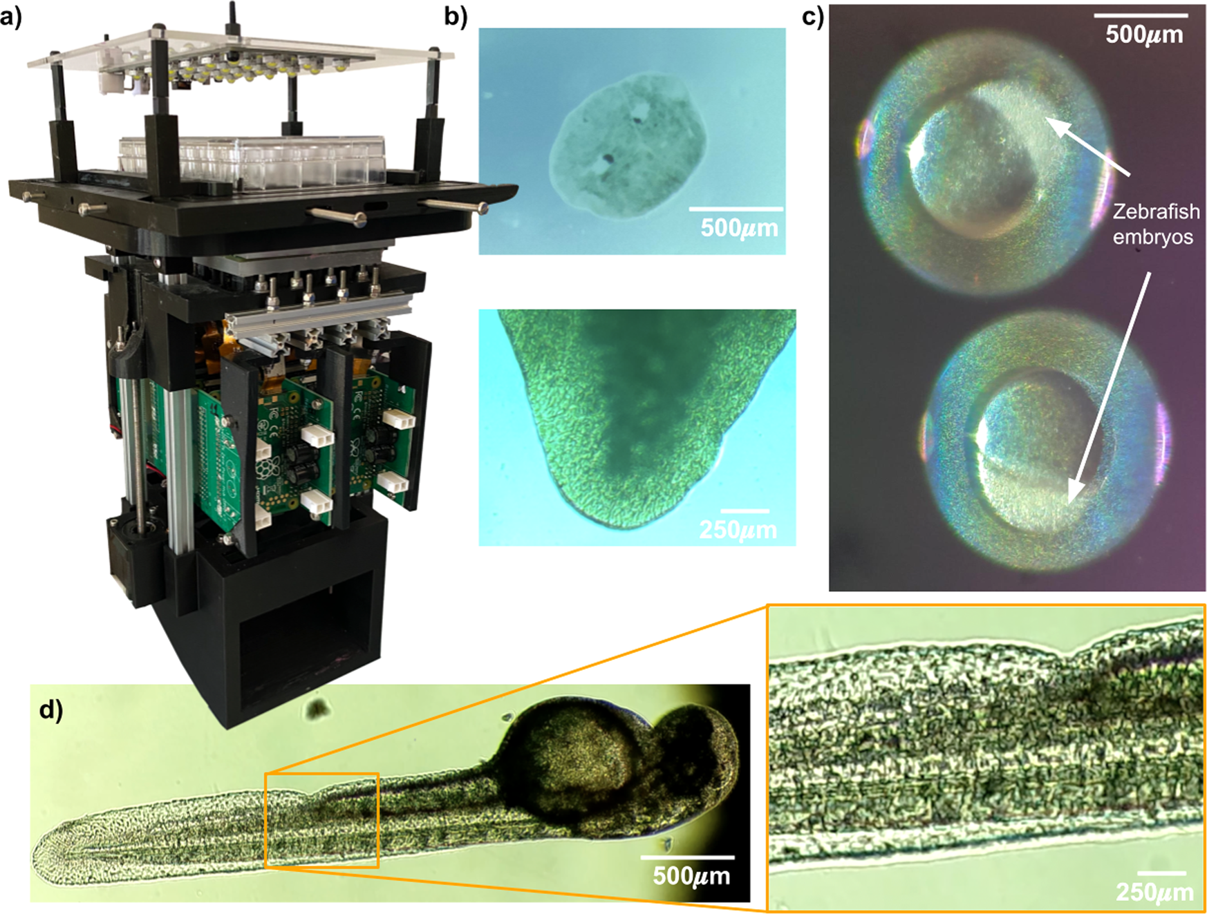 Picroscope: low-cost system for simultaneous longitudinal biological  imaging | Communications Biology
