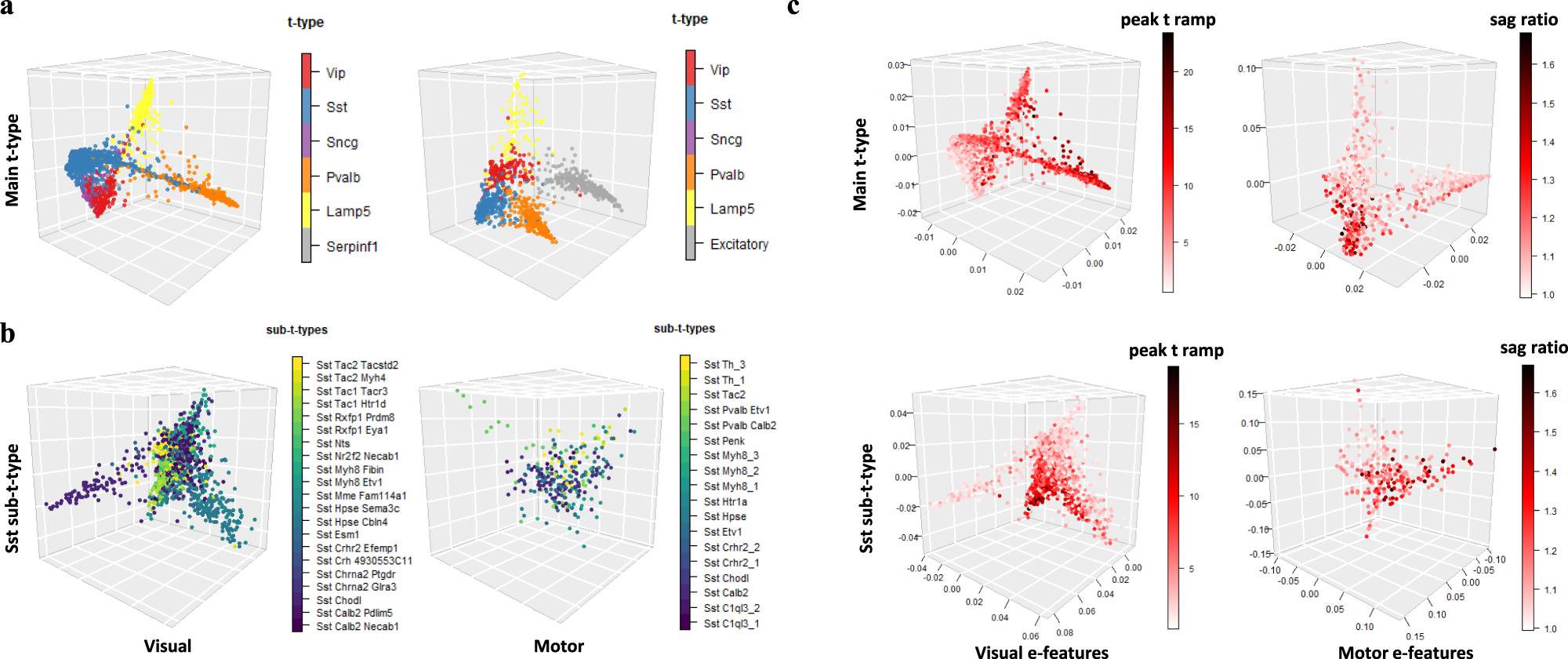 Fig. 3: Trajectories across t-types on the latent space after nonlinear manifold alignment along with continuous electrophysiology changes.