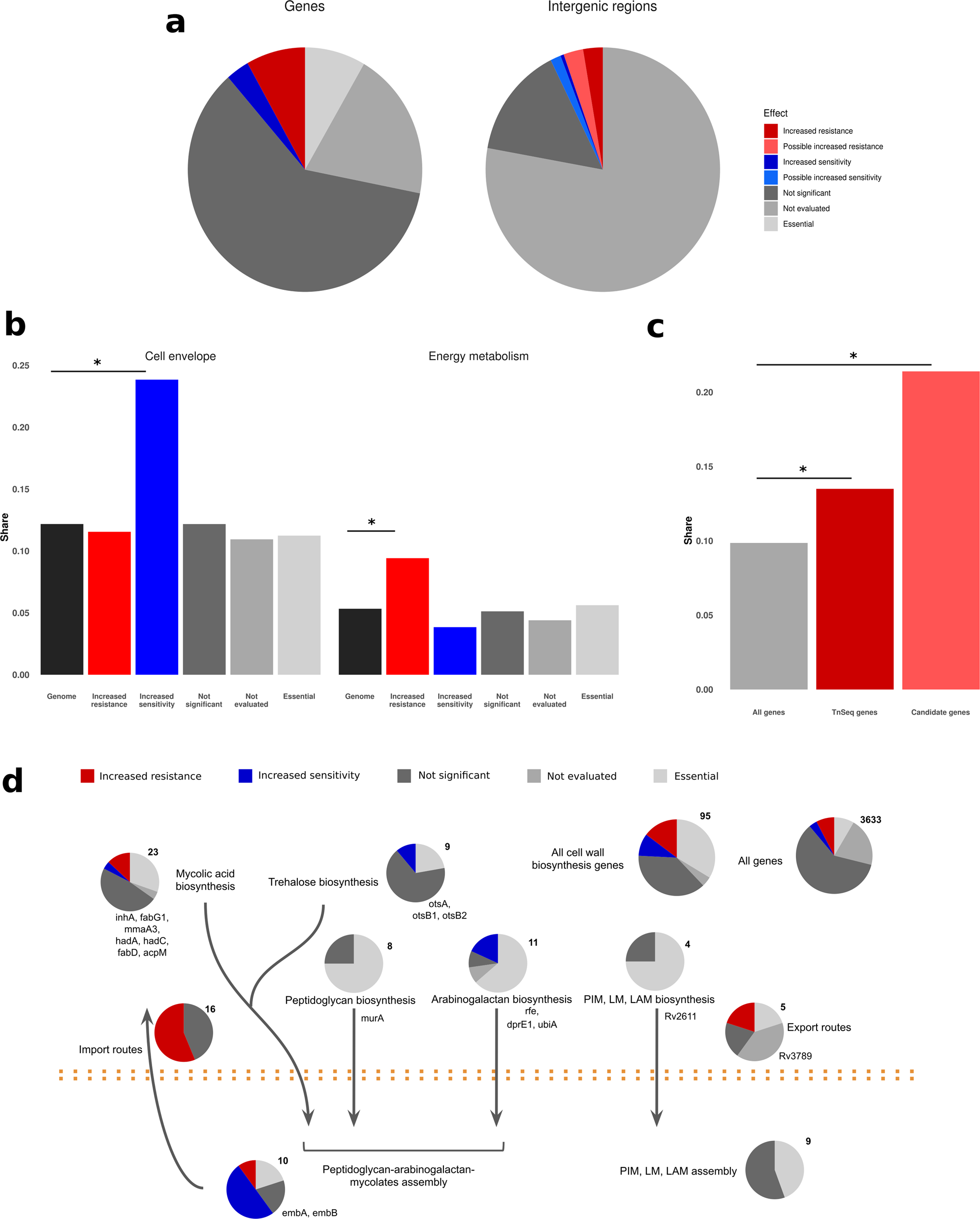 Fig. 3: Genes associated with isoniazid resistance follow definite functional patterns.