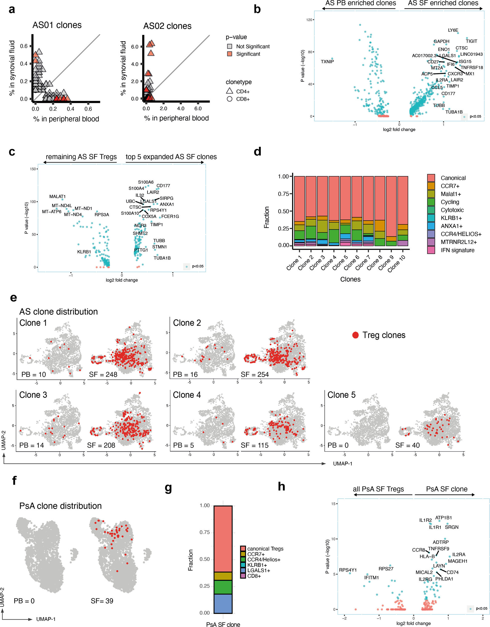 Fig. 5: Clonally expanded Tregs with identical TCRα/β sequences and distinct transcriptional features are expanded in the synovial fluid and are present in multiple Treg clusters.
