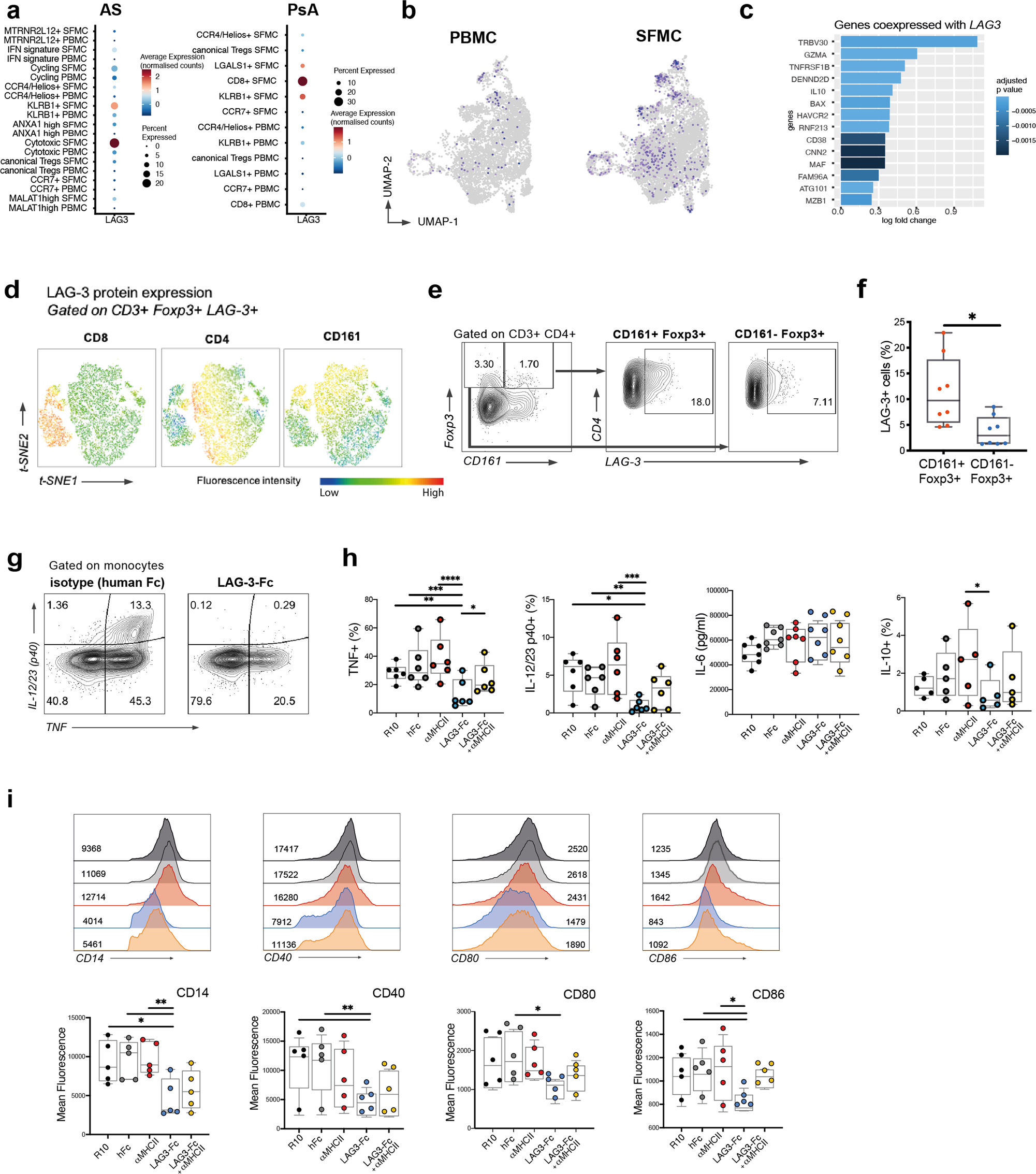 Fig. 6: LAG-3 is selectively expressed by CD161 Tregs in SpA and suppresses SpA monocyte TNF and IL-12/23 production and costimulatory molecule expression.