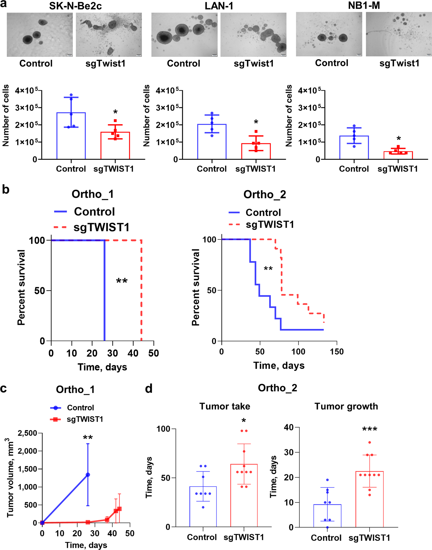 Fig. 2: TWIST1 KO reduces the neurosphere forming capacities of NB cells in vitro and the tumor growth capacities of SK-N-Be2c cells in vivo.