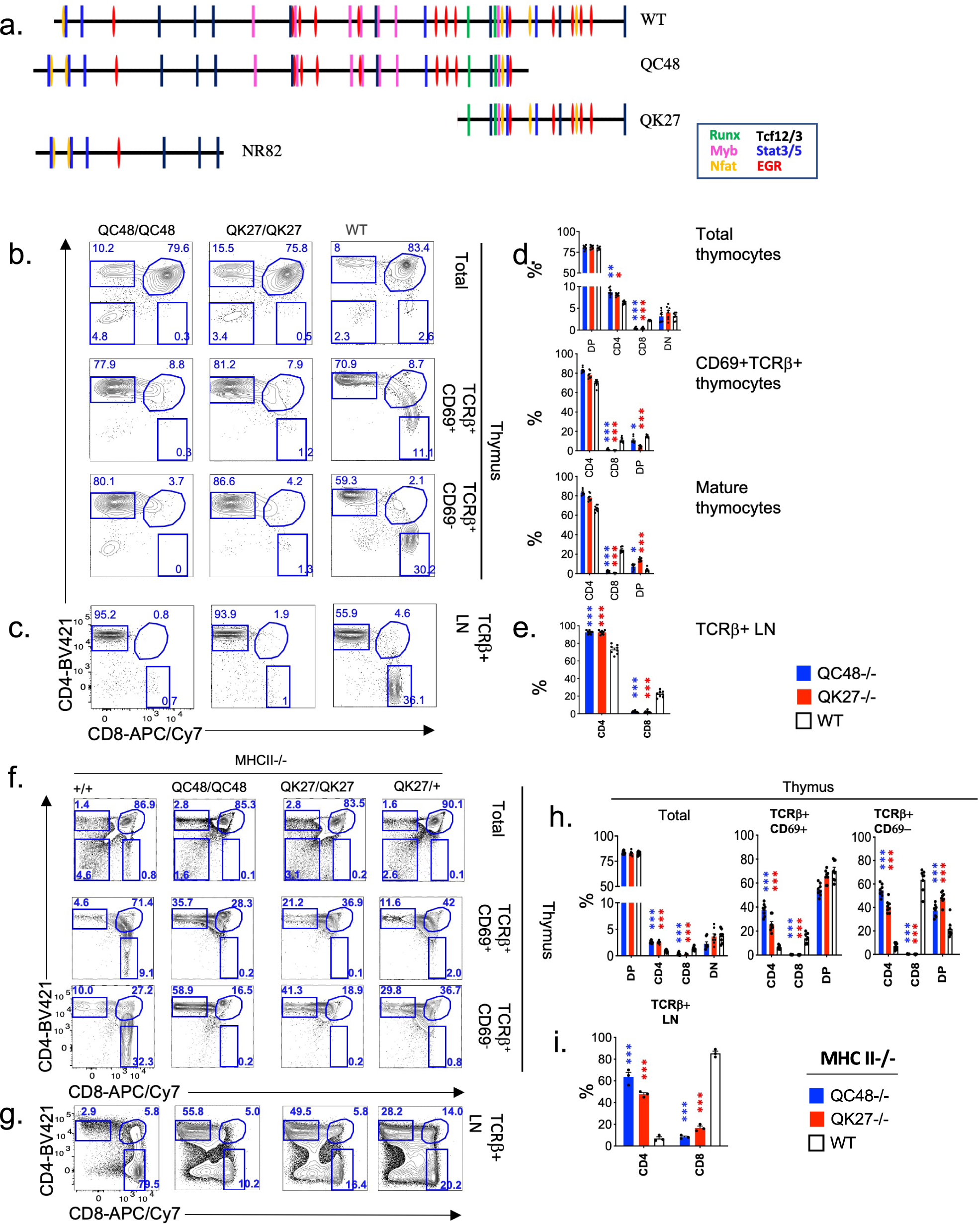 Fig. 5: Distinct nonoverlapping regions of SilThPOK are required for its silencing function.