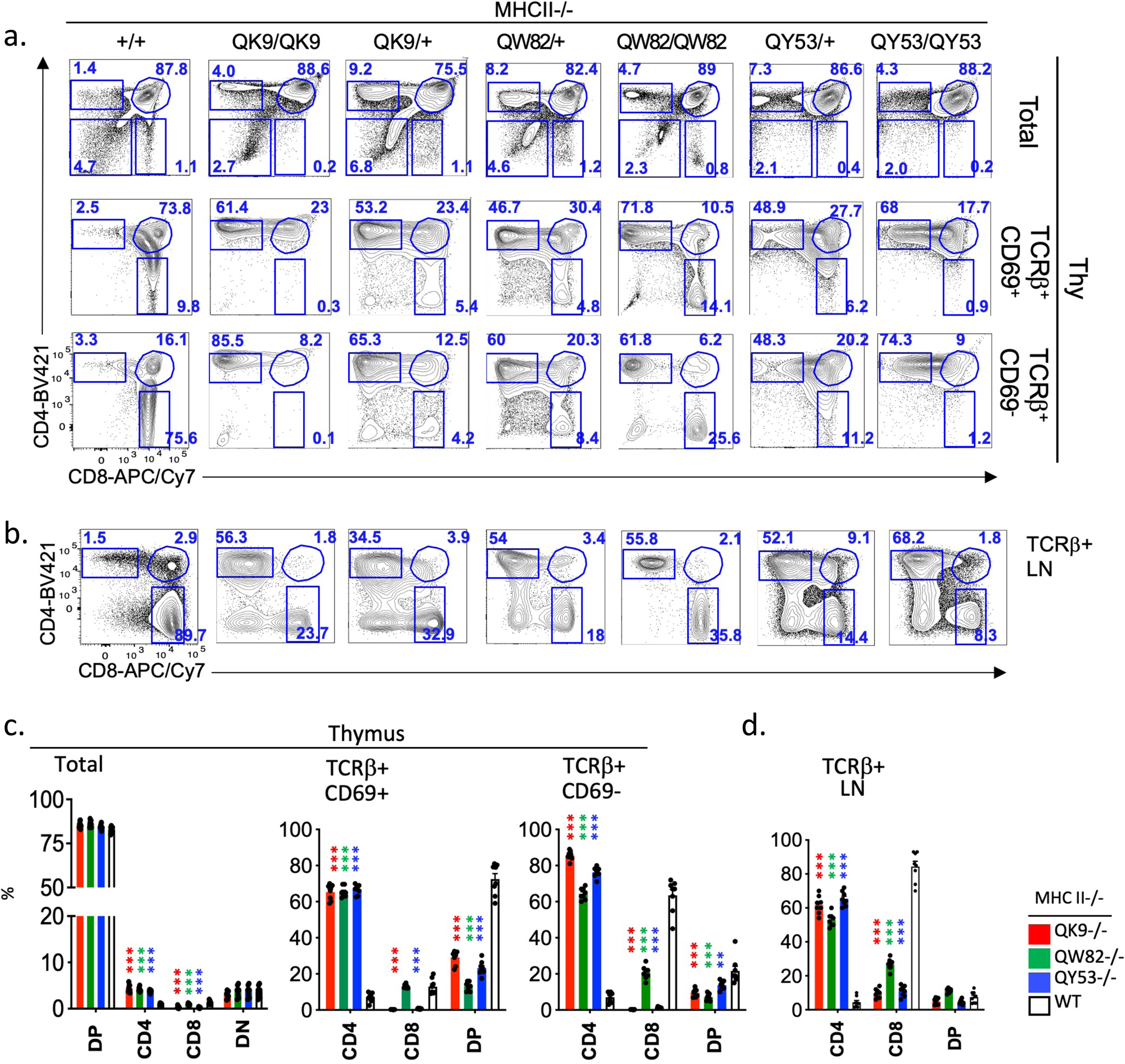 Fig. 8: Mutation of EGR and NFAT-binding motifs adjacent to conserved Runx sites impairs normal lineage choice of MHC class I-restricted thymocytes.