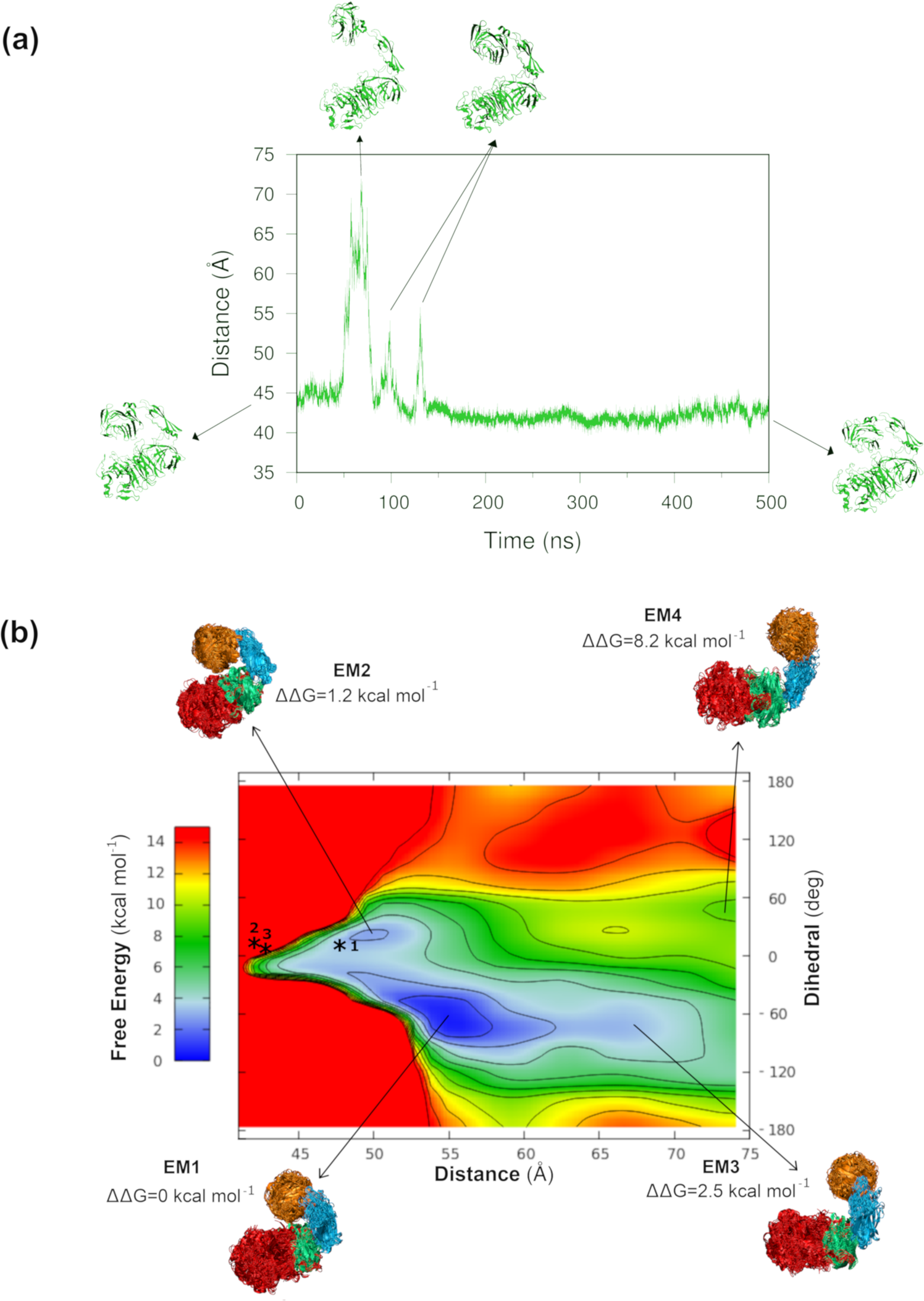Fig. 4: Large conformational changes detected by MD and metadynamics simulations.