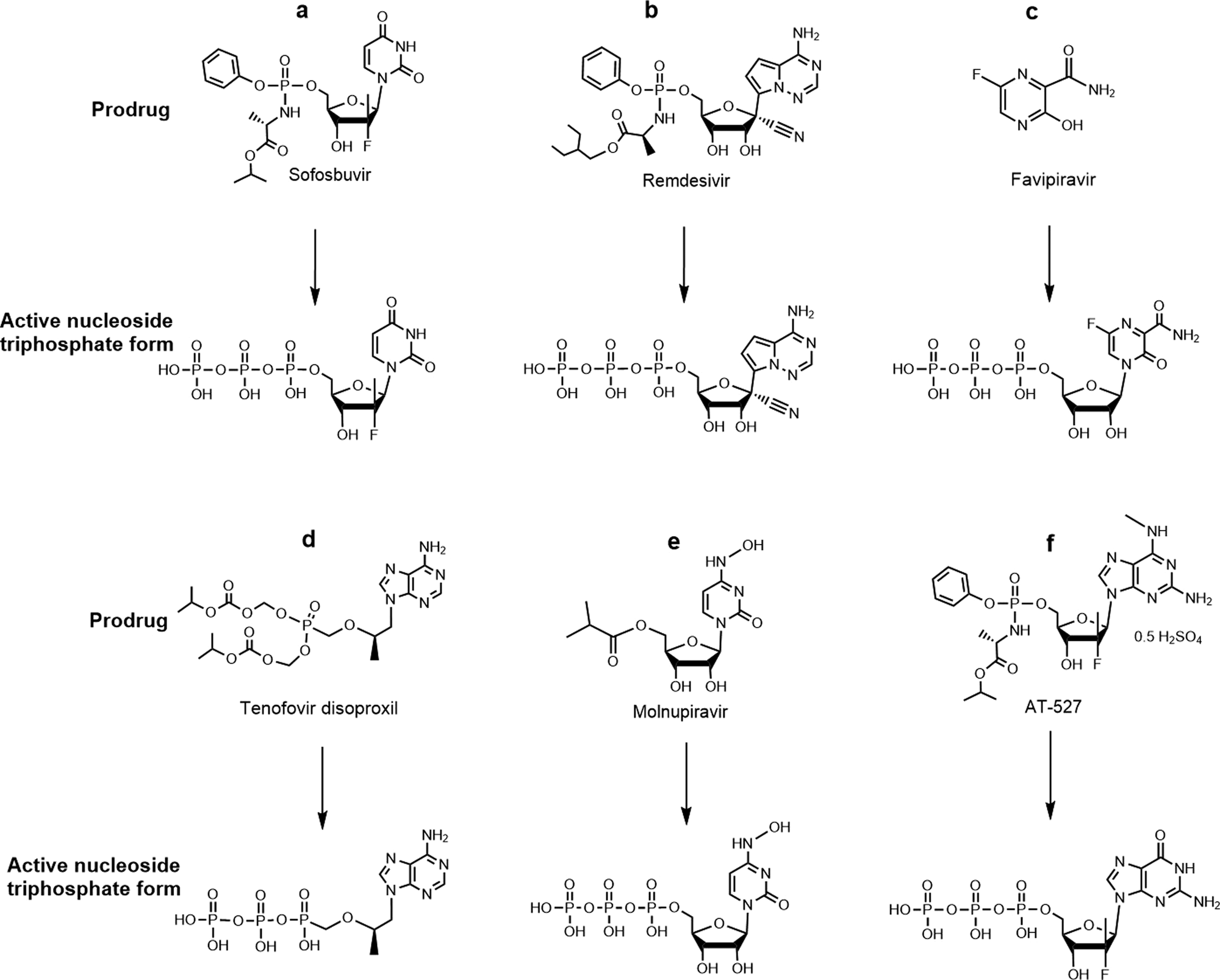 Fig. 1: Prodrugs and their active triphosphate forms.