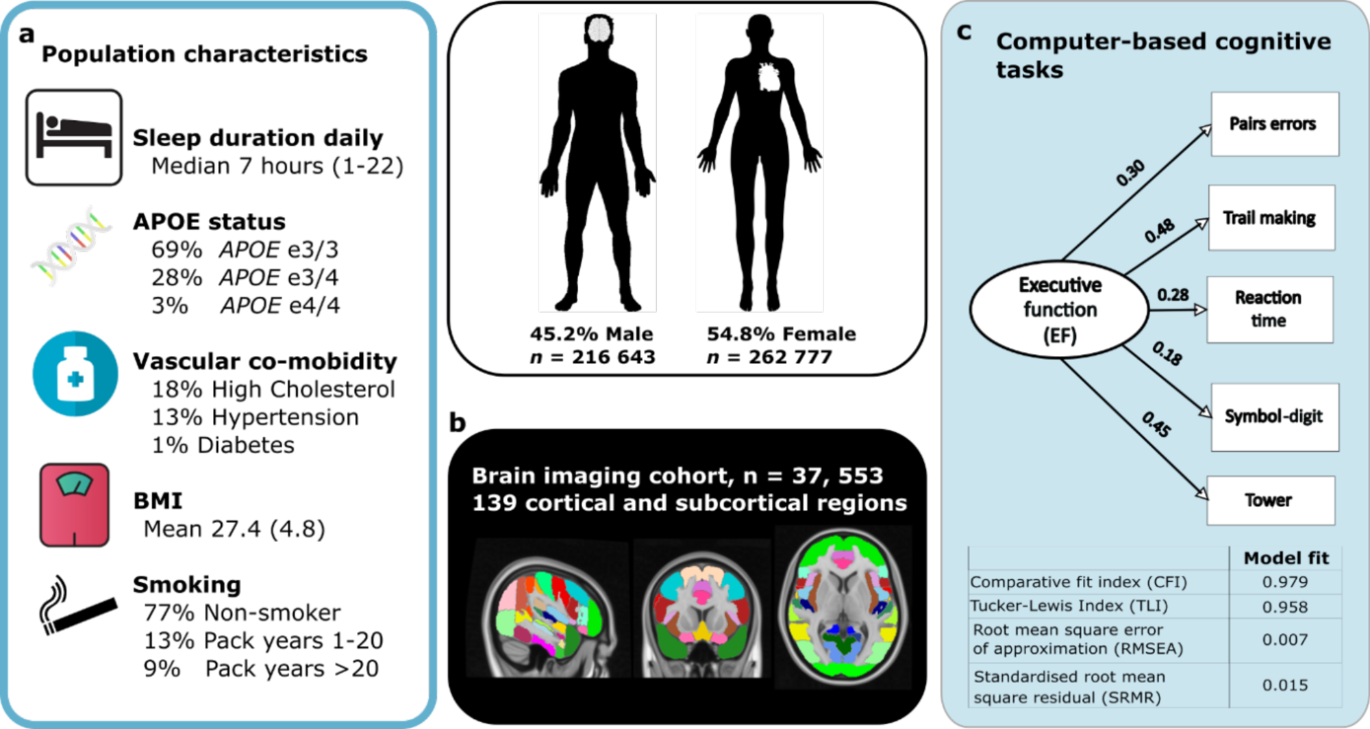 Different loneliness types, cognitive function, and brain structure in  midlife: Findings from the Framingham Heart Study - eClinicalMedicine