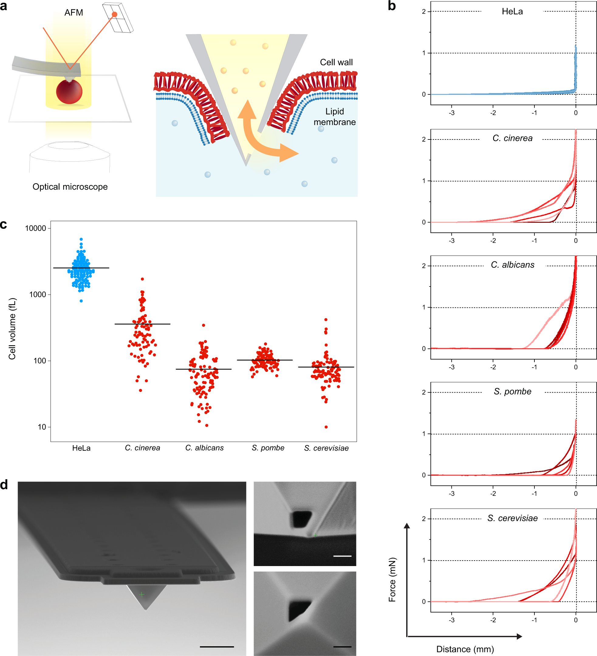 Tunable Single-Cell Extraction for Molecular Analyses: Cell