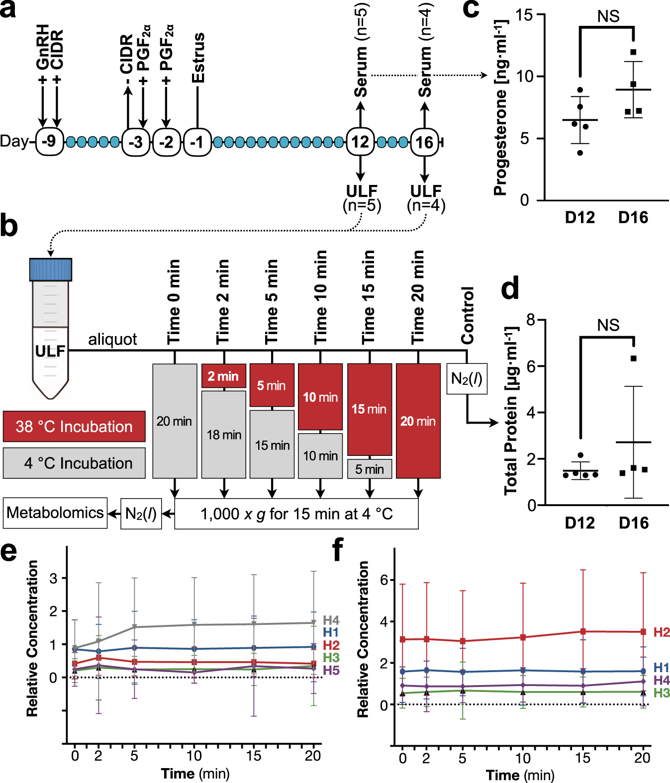 Uterine lumen fluid is metabolically semi-autonomous | Communications  Biology