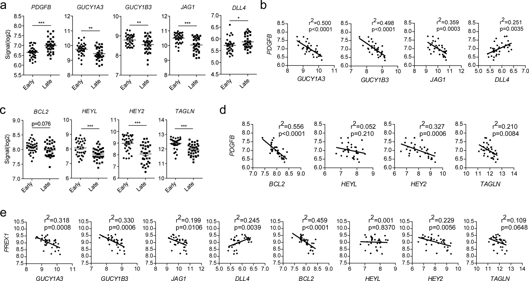 Fig. 4: PDGFB and PREX1 correlates with Notch ligand switching and negative sGC regulation in human carotid artery atherosclerotic plaques.