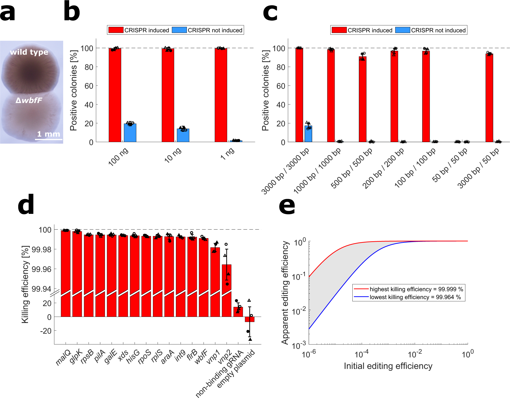 Fig. 2: Quantitative characterization of NT-CRISPR and killing efficiencies with different gRNAs.