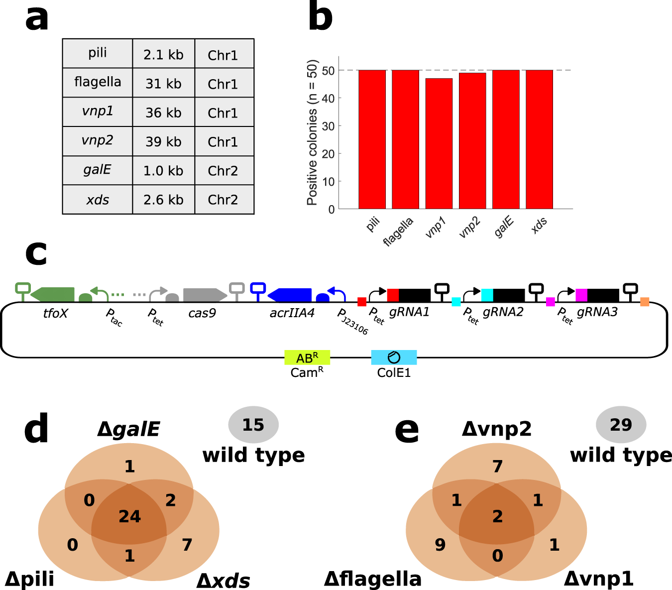 Fig. 3: Results of single and multiple deletions with NT-CRISPR.