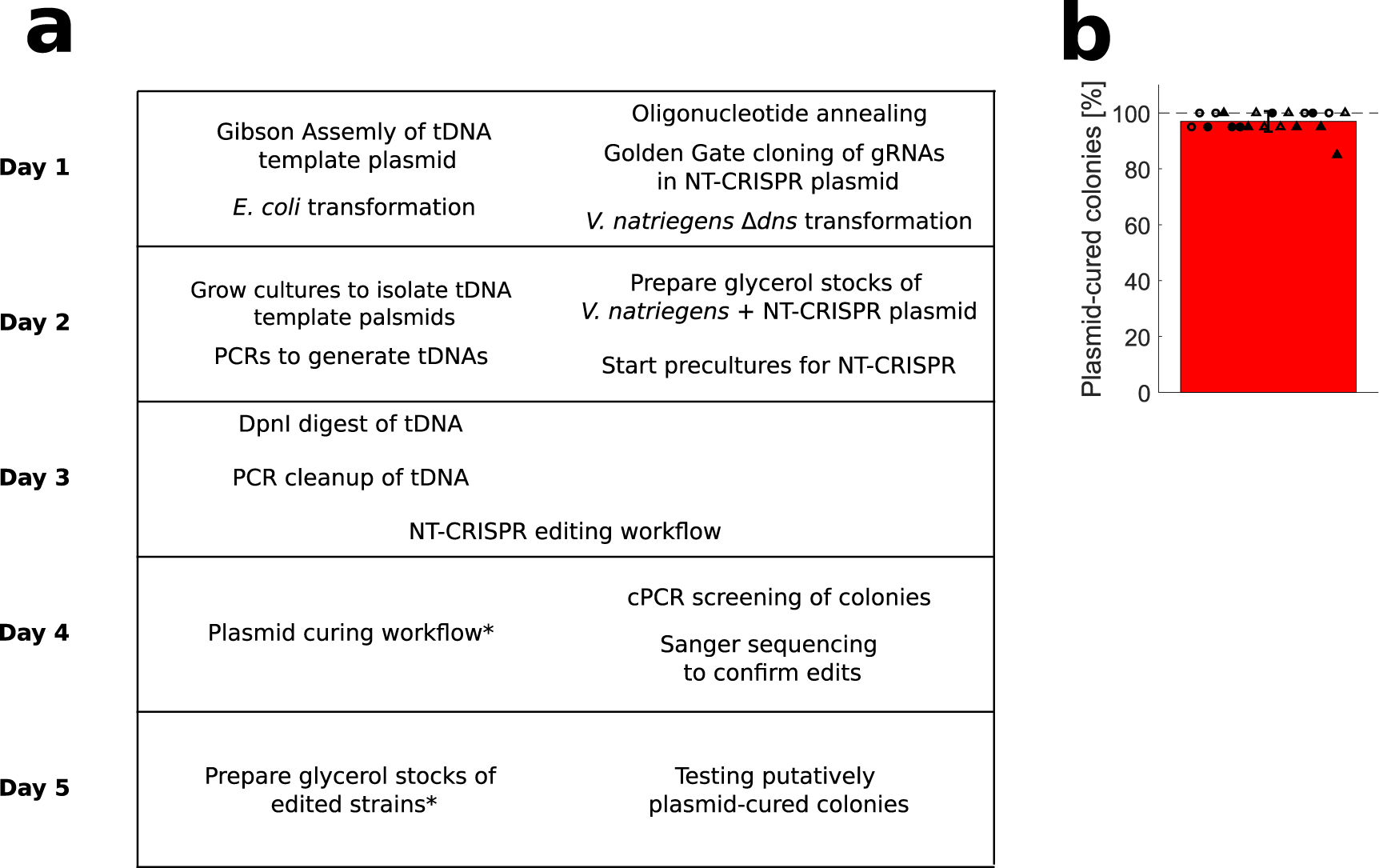 Fig. 6: Timetable of full NT-CRISPR procedure and plasmid curing.