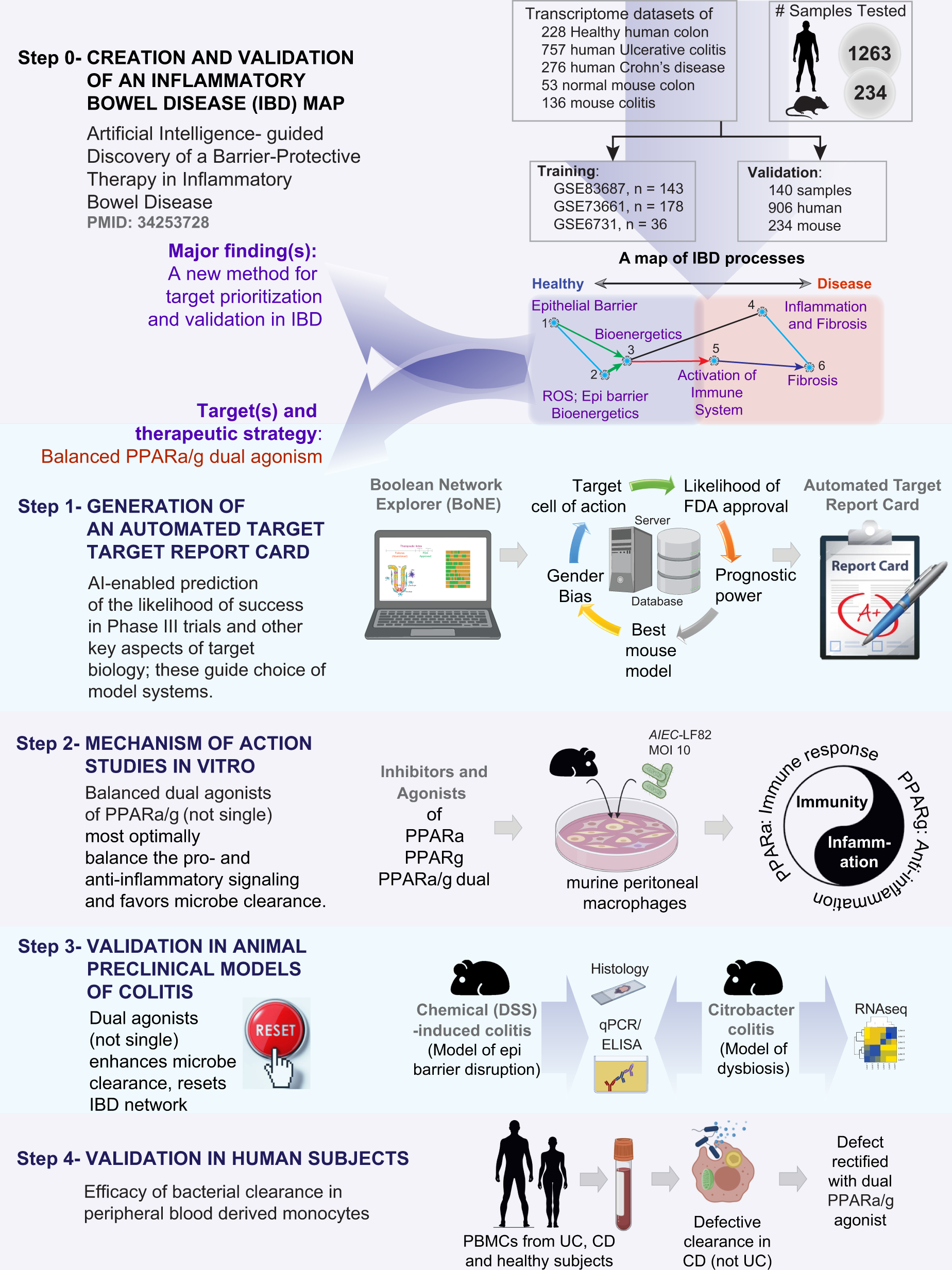 Artificial intelligence-rationalized balanced PPARα/γ dual agonism resets  dysregulated macrophage processes in inflammatory bowel disease