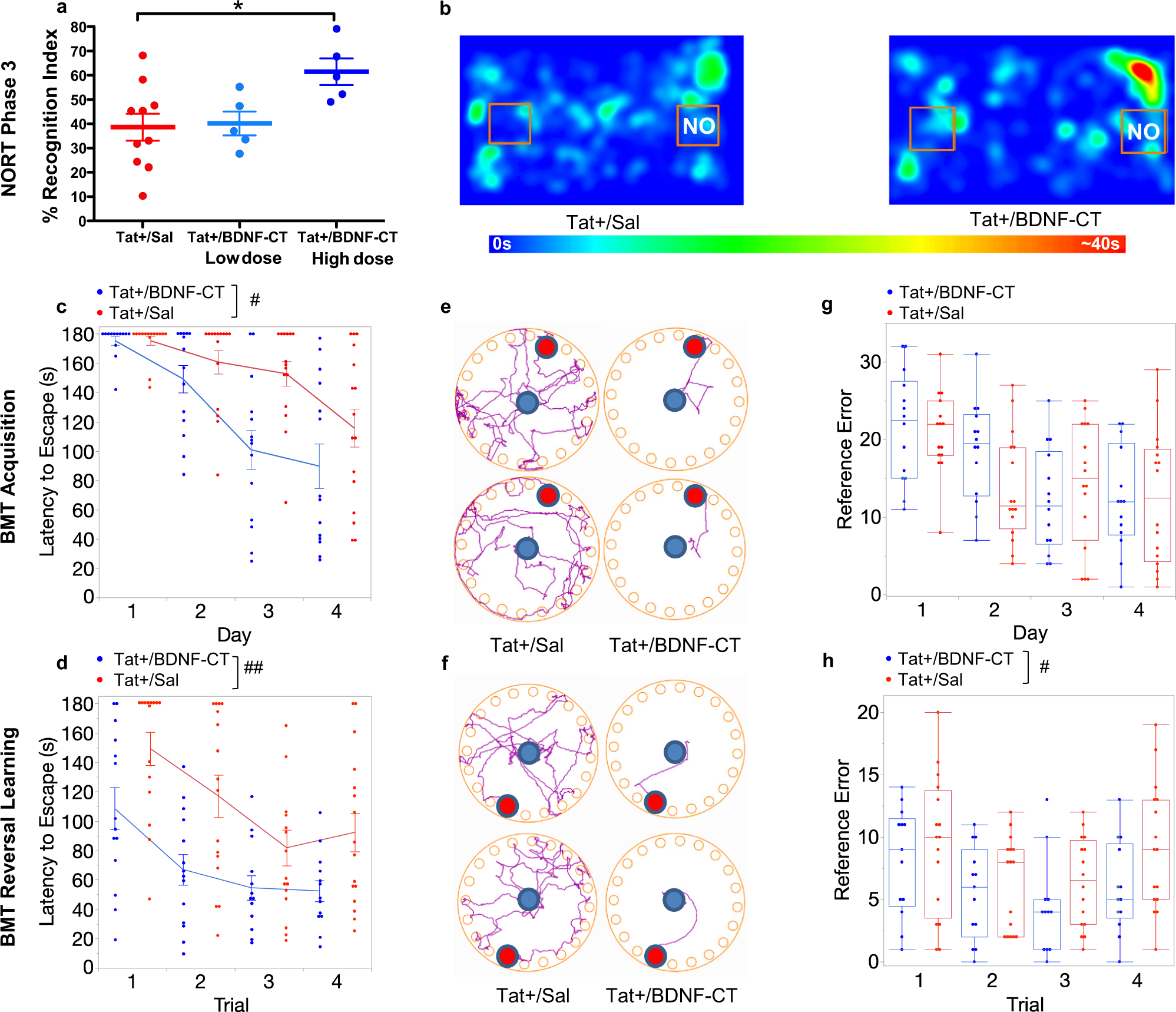 Fig. 7: BDNF-CT ameliorated Tat-induced learning and memory deficits and enhanced cognitive flexibility in the Novel object recognition test (NORT) and Barnes maze test (BMT).