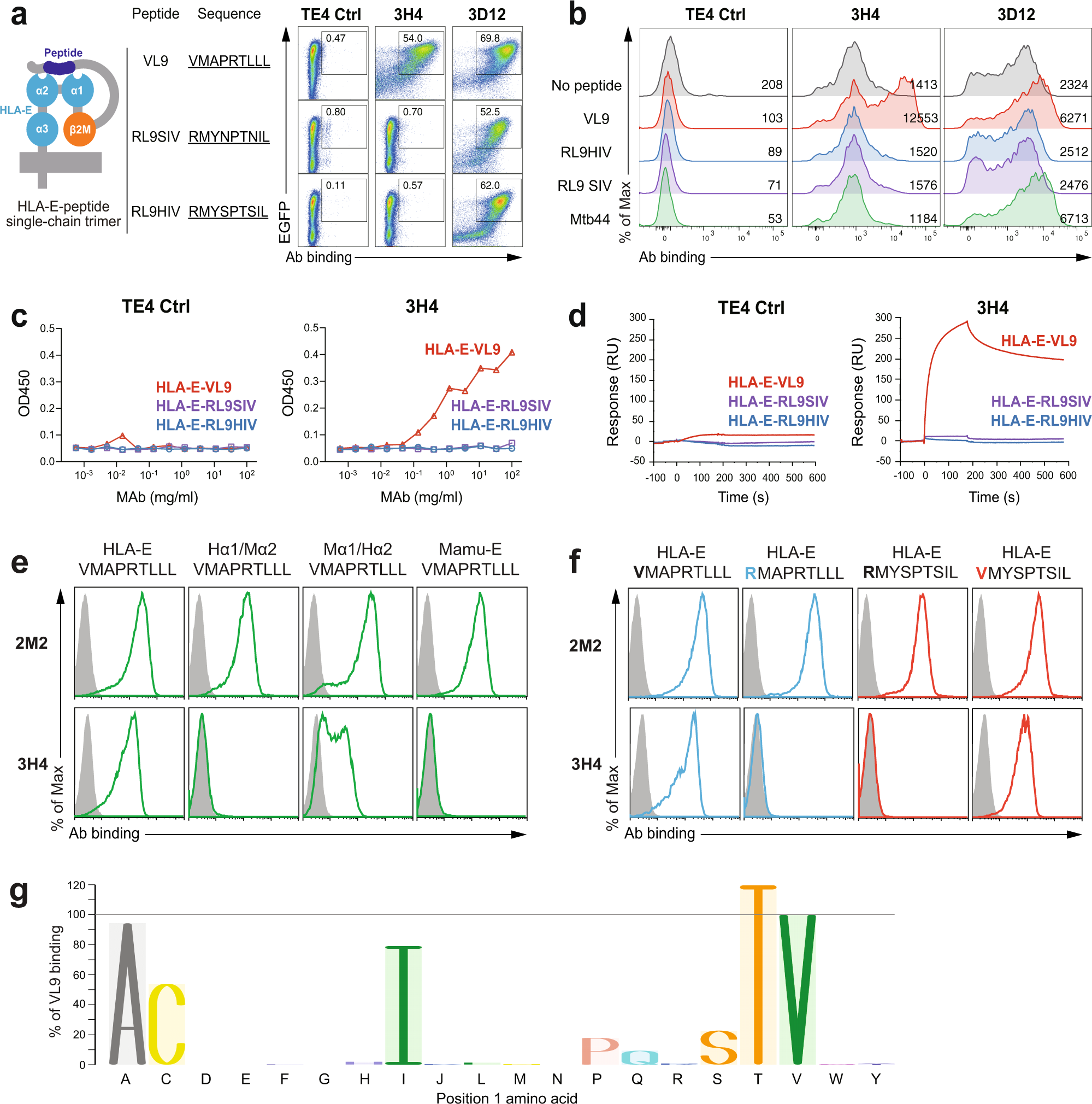 Mouse and human antibodies bind HLA-E-leader peptide complexes and enhance  NK cell cytotoxicity | Communications Biology