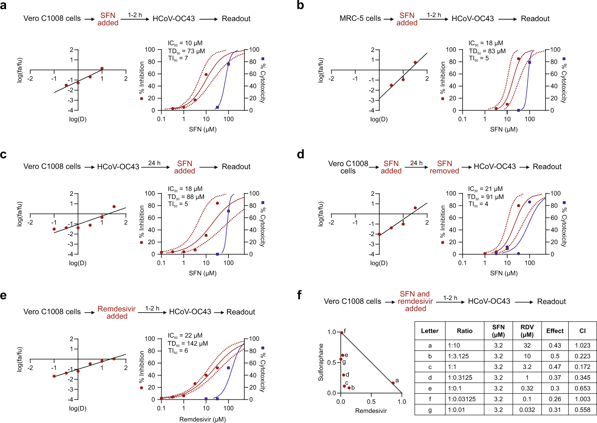 Fig. 1: Antiviral effects of SFN against HCoV-OC43.