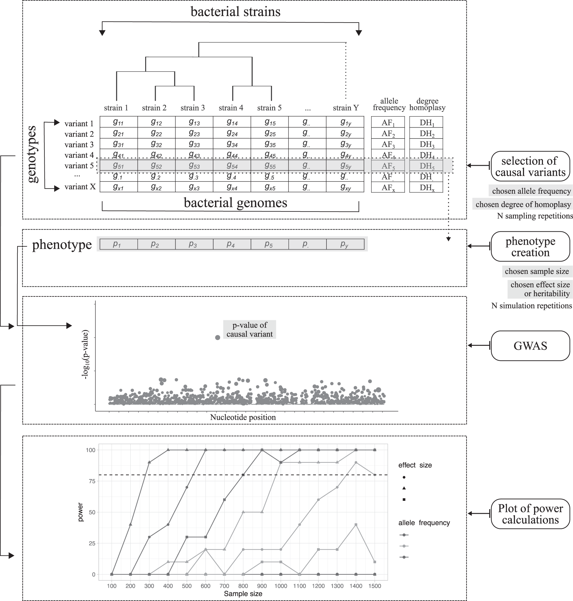 Powerbacgwas A Computational Pipeline To Perform Power Calculations For Bacterial Genome Wide Association Studies Communications Biology