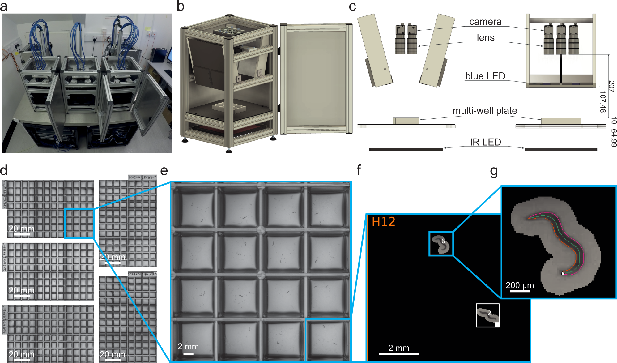 BonZeb: open-source, modular software tools for high-resolution zebrafish  tracking and analysis