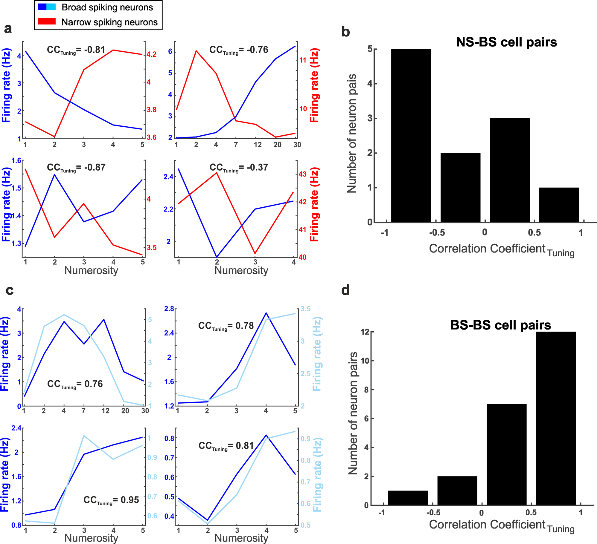 Fig. 6: Tuning properties of adjacent numerosity-selective neurons.