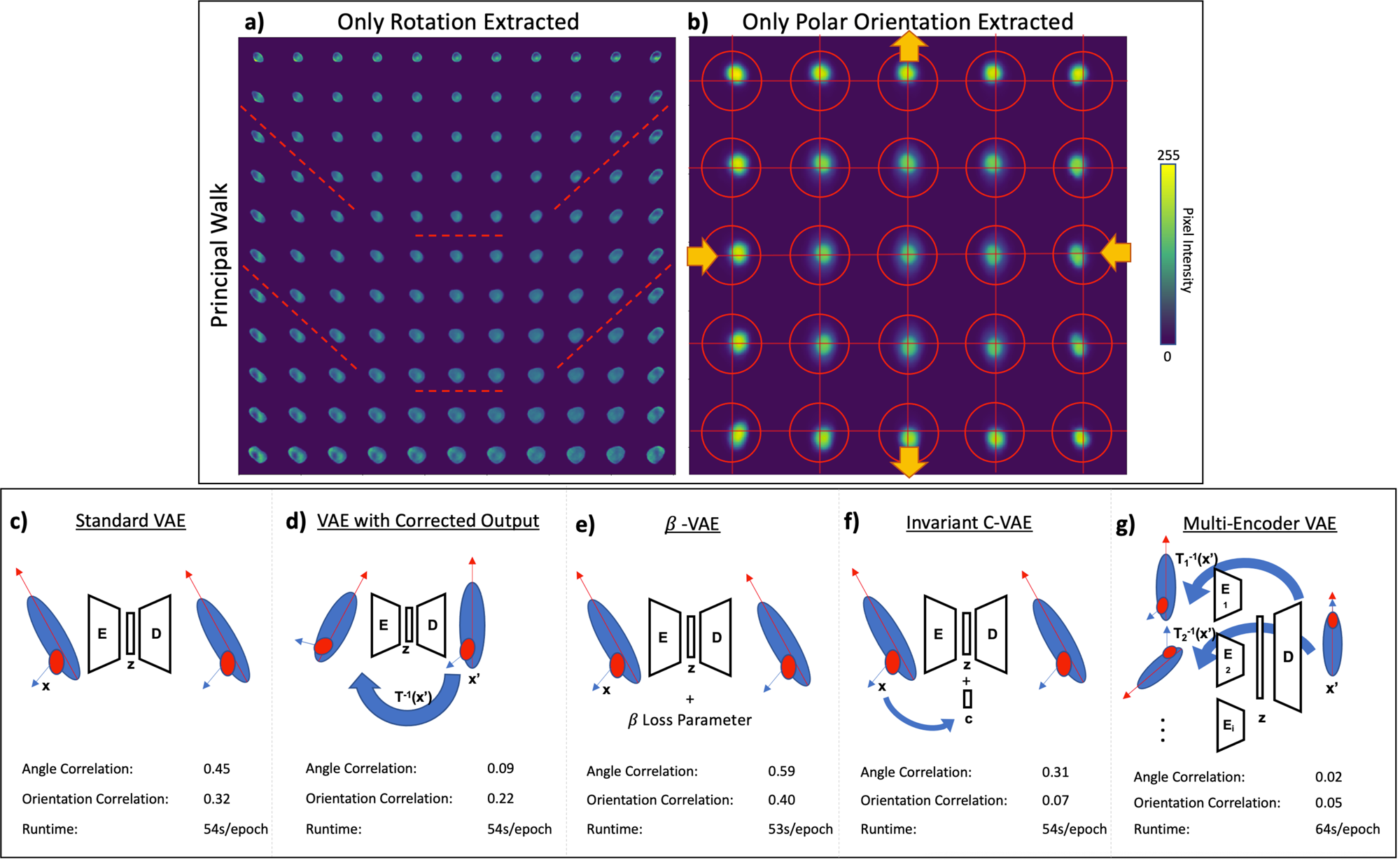 A multi-encoder variational autoencoder controls multiple transformational  features in single-cell image analysis | Communications Biology